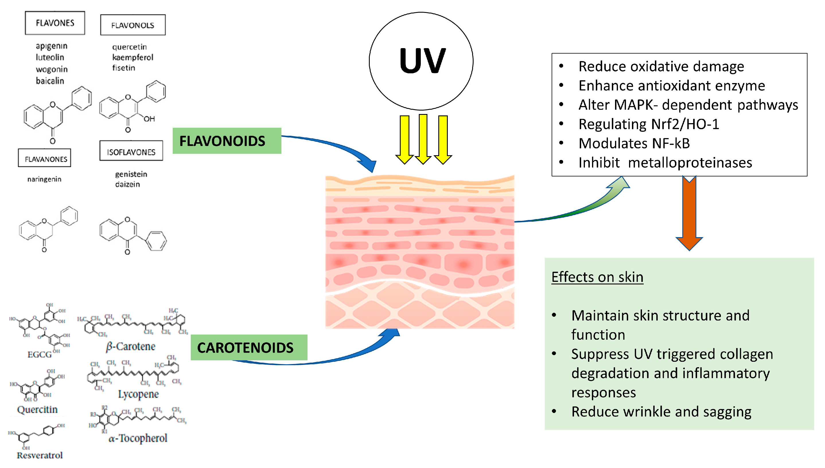 Nutrients 15 00092 g002