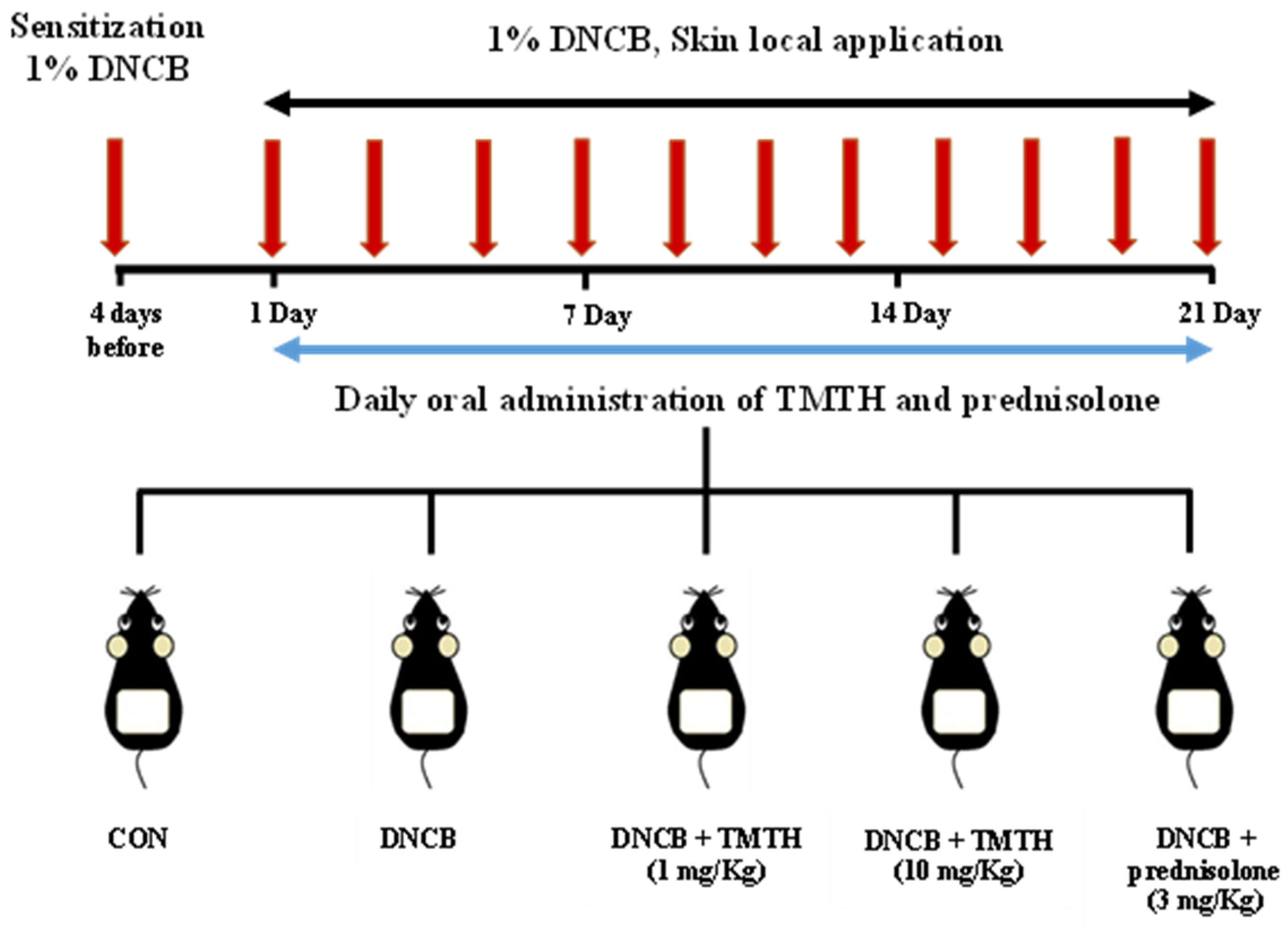 Nutrients 15 00093 g001