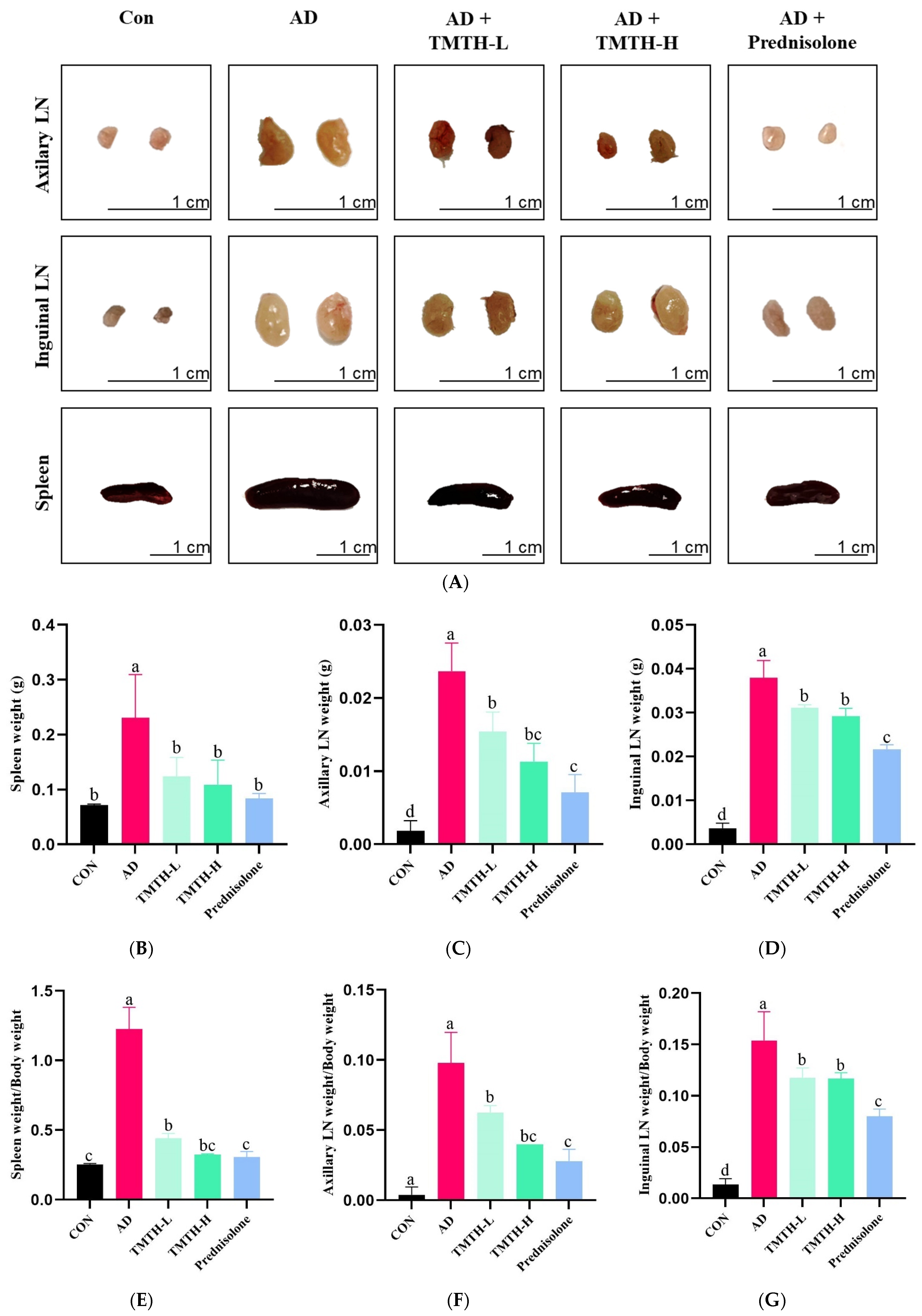 Nutrients 15 00093 g004