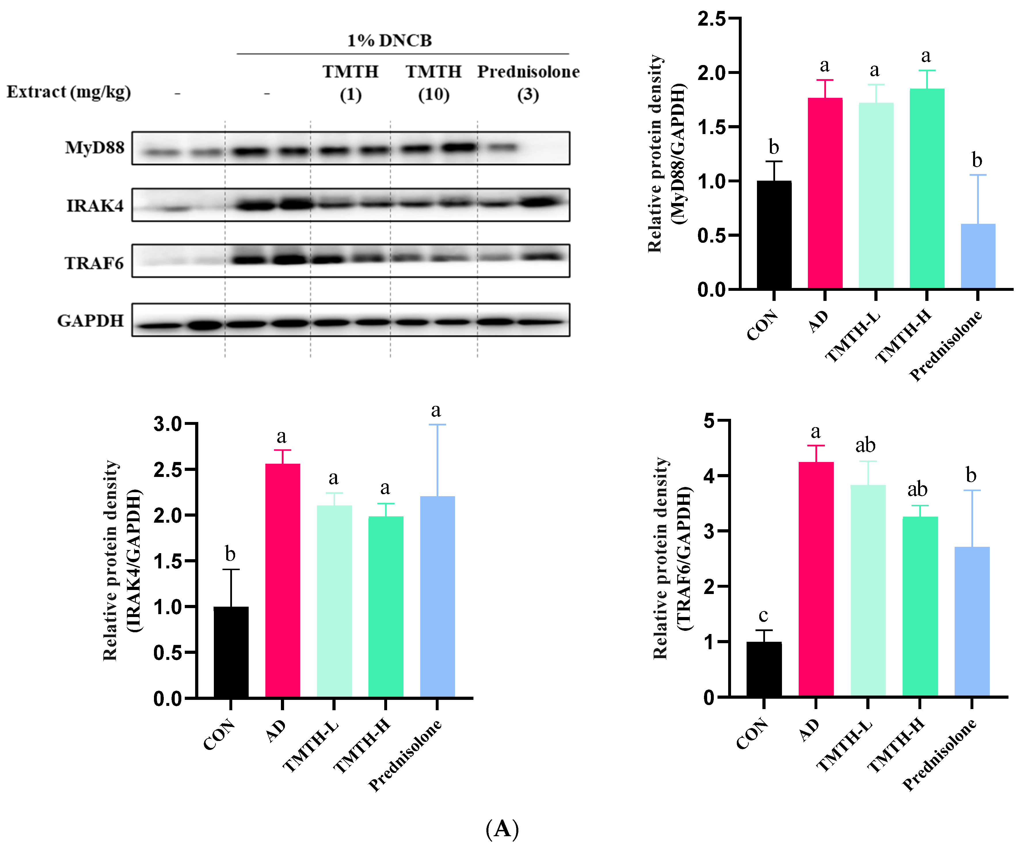 Nutrients 15 00093 g005a
