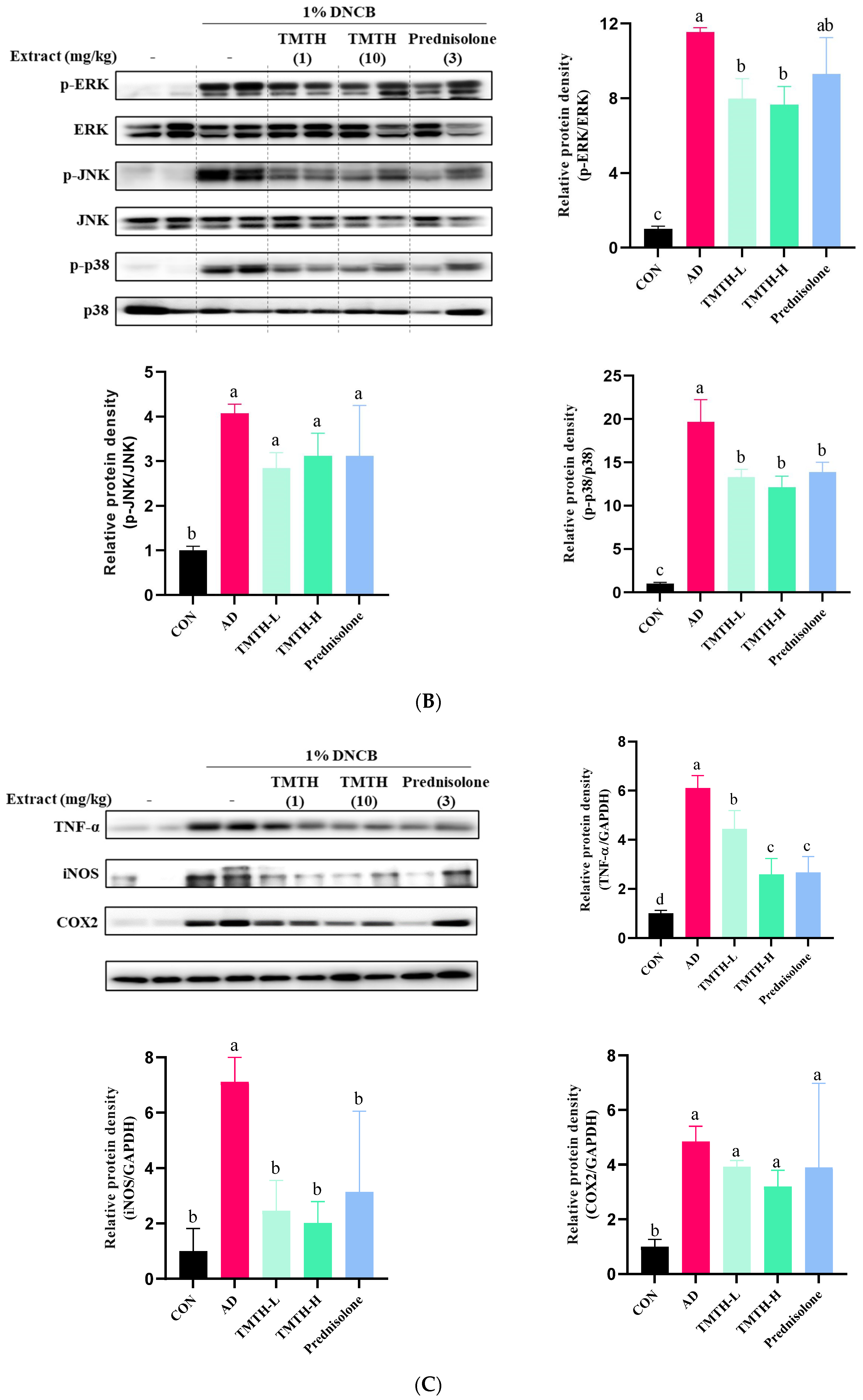 Nutrients 15 00093 g005b