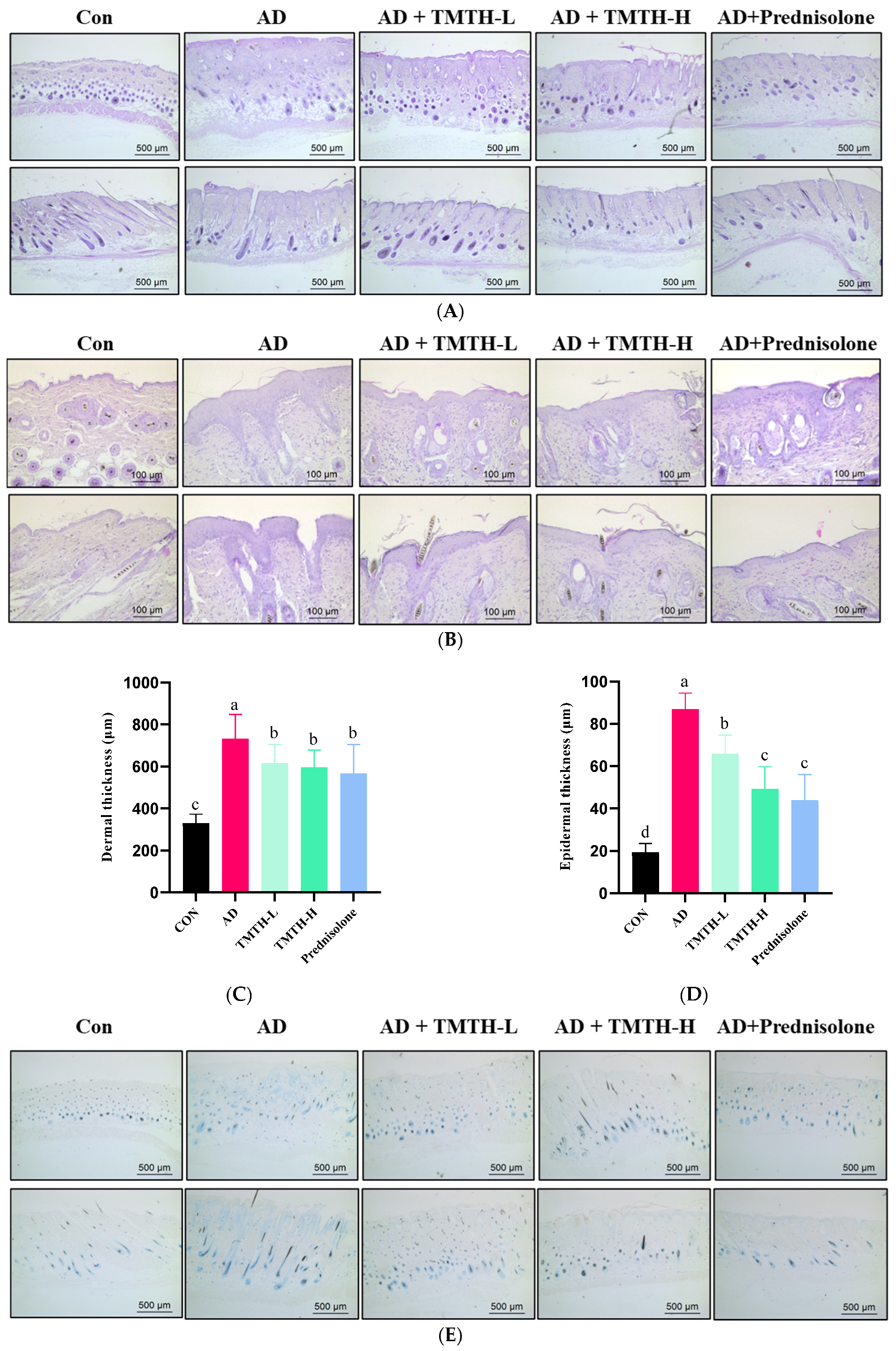 Nutrients 15 00093 g006a