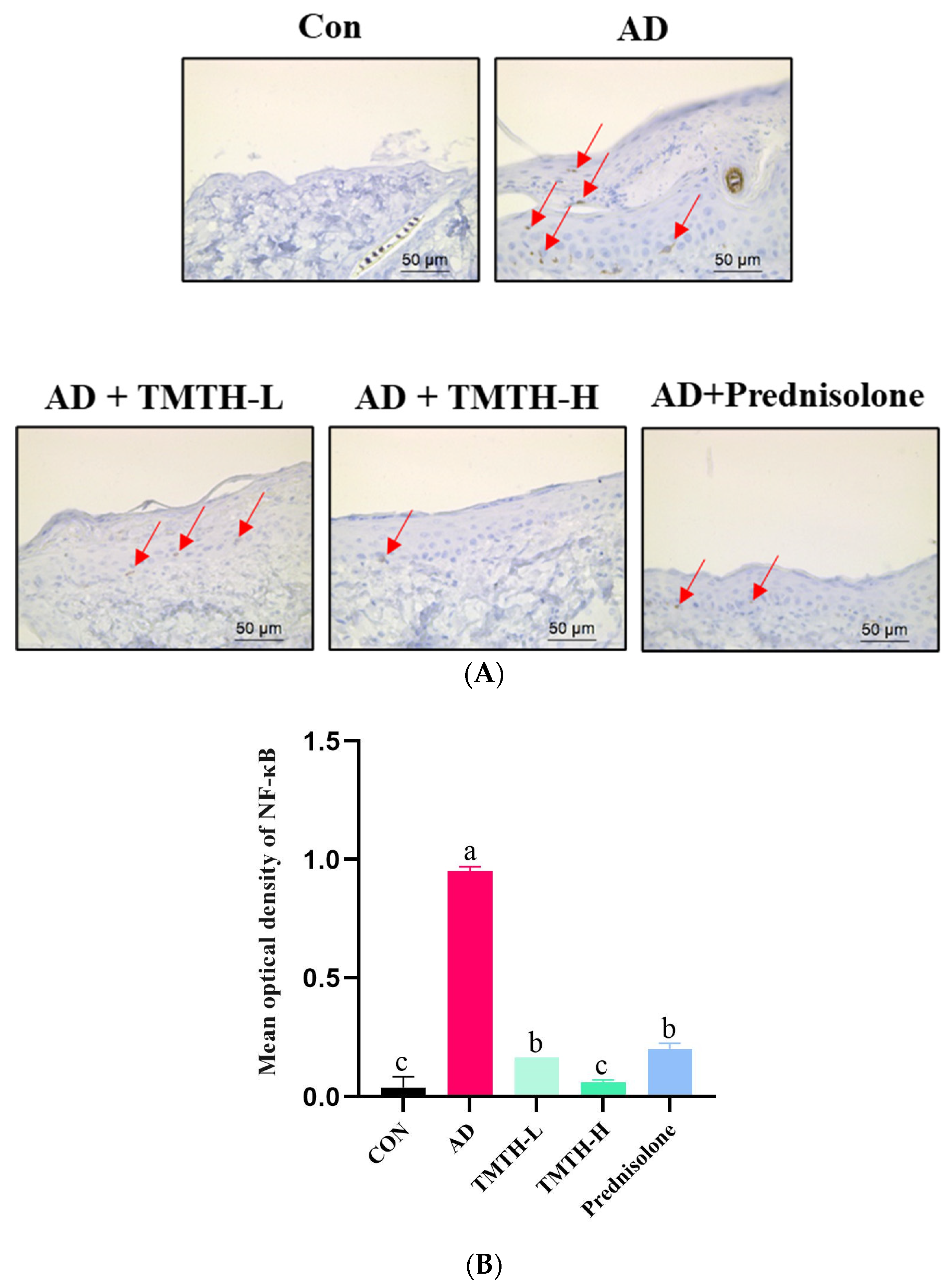 Nutrients 15 00093 g008