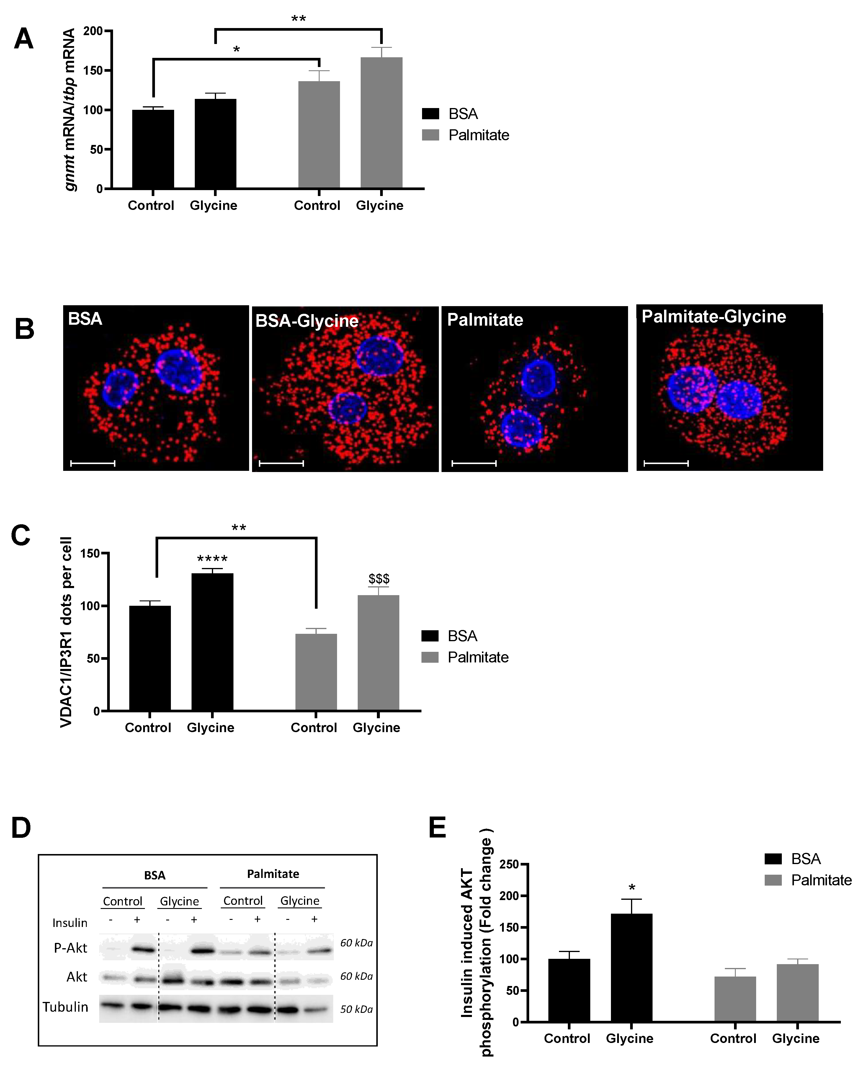 Nutrients 15 00096 g001