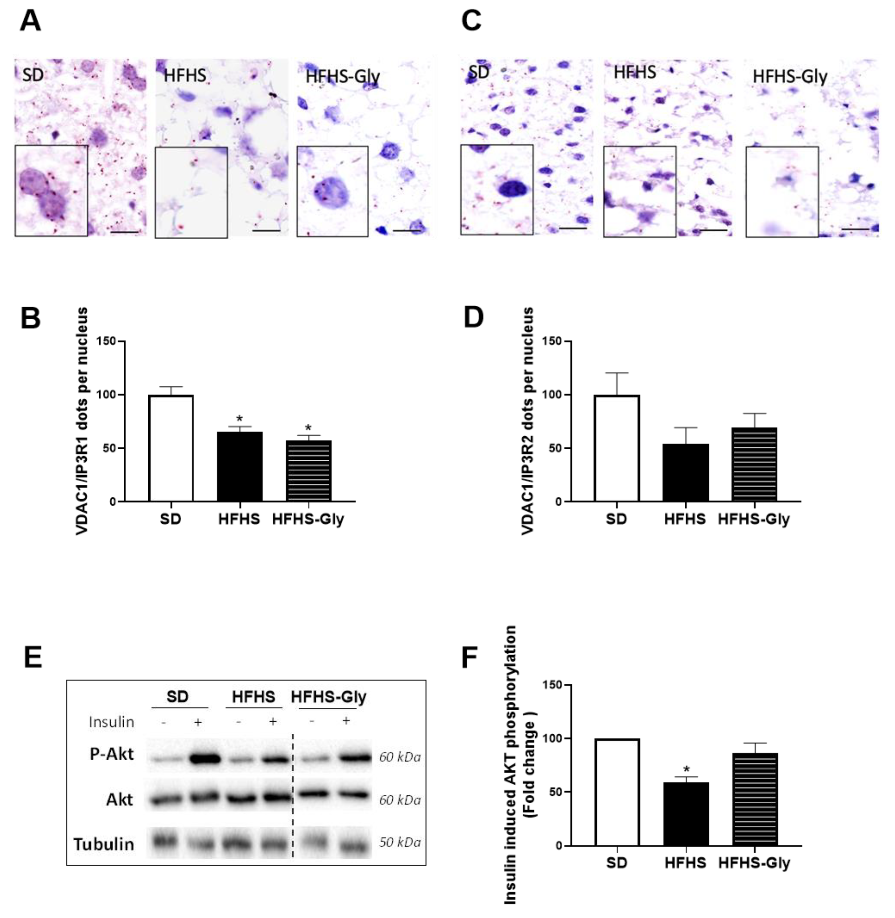 Nutrients 15 00096 g003