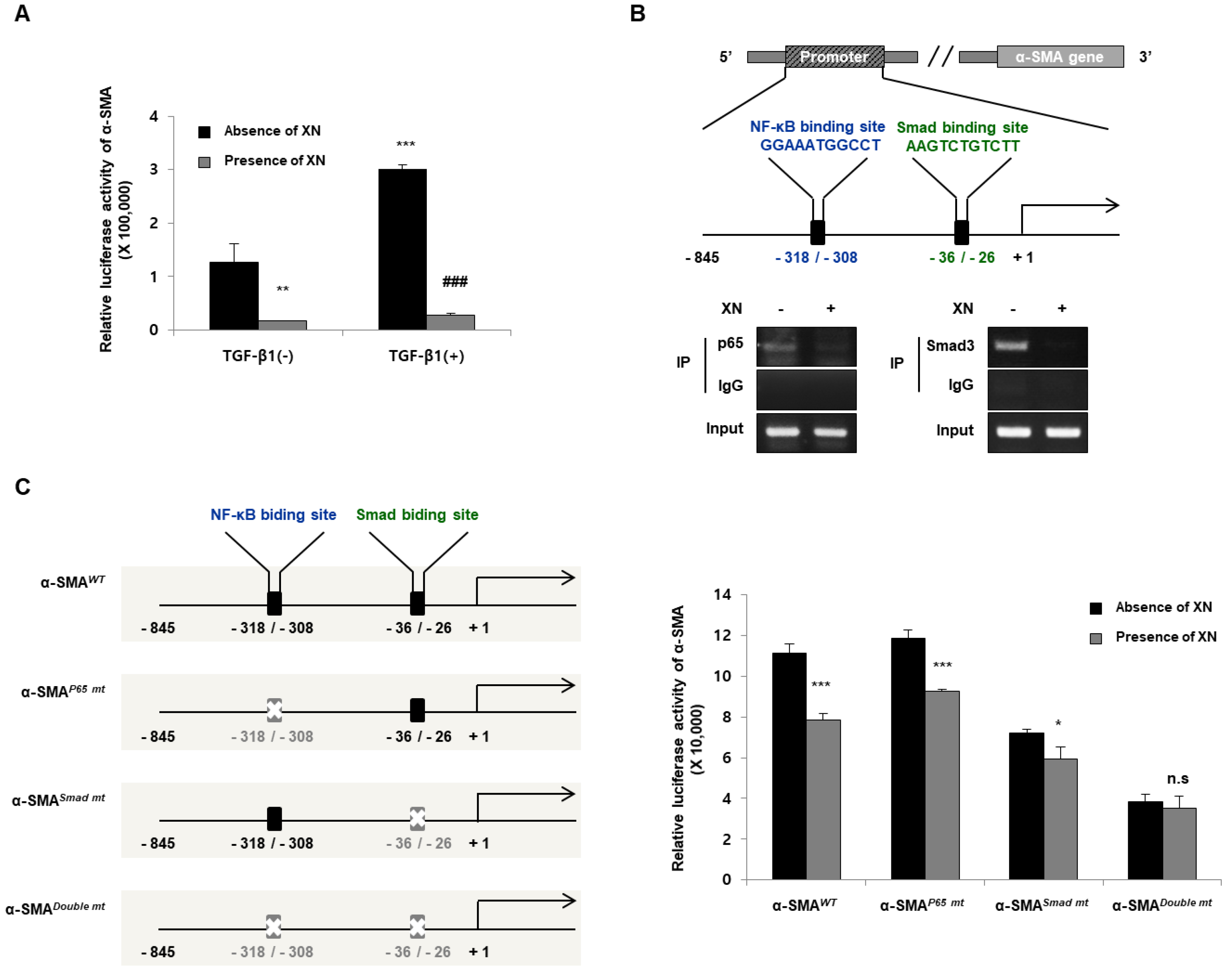 Nutrients 15 00099 g002