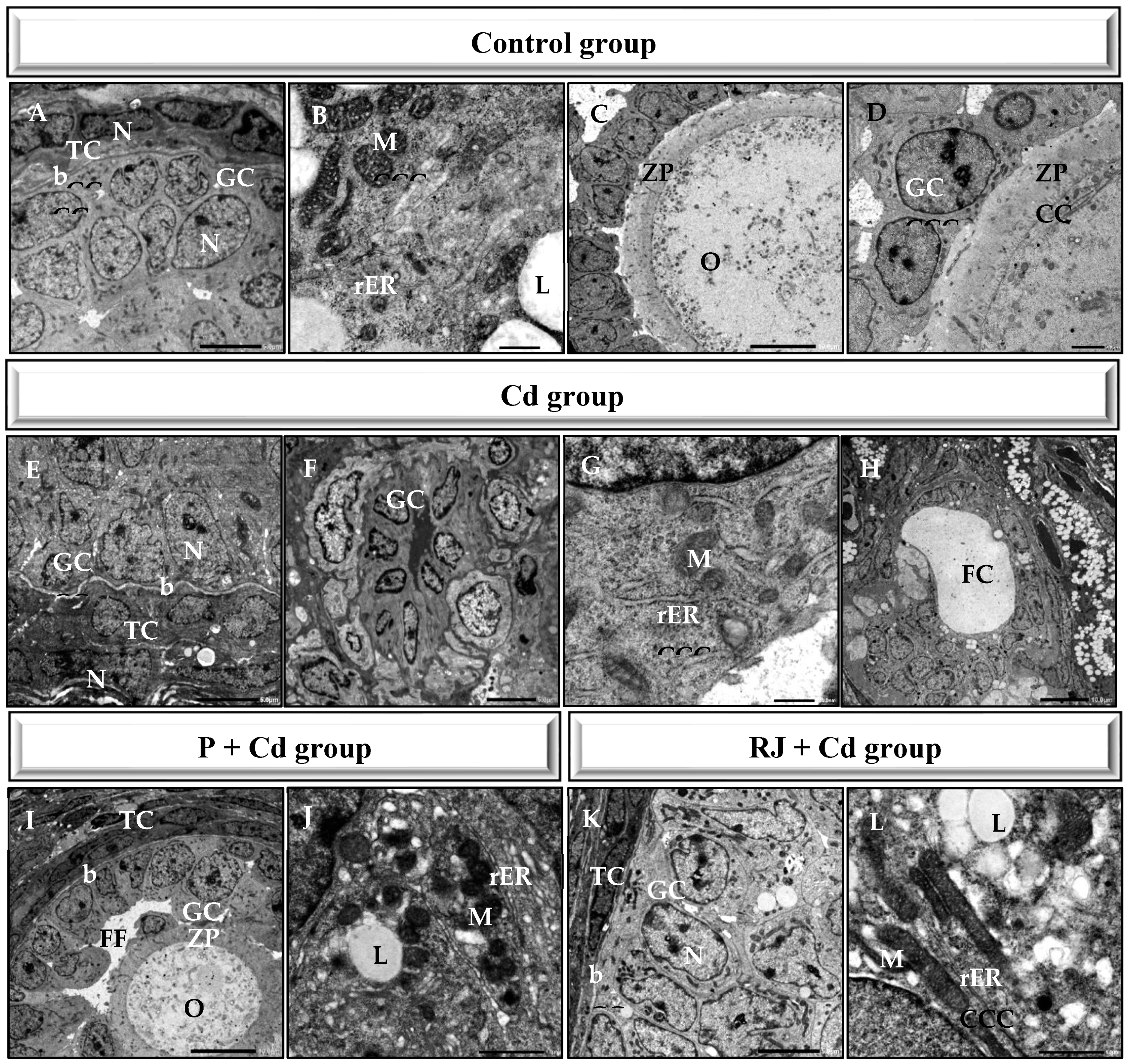 Nutrients 15 00119 g005 Nutrients 15 00119 g005