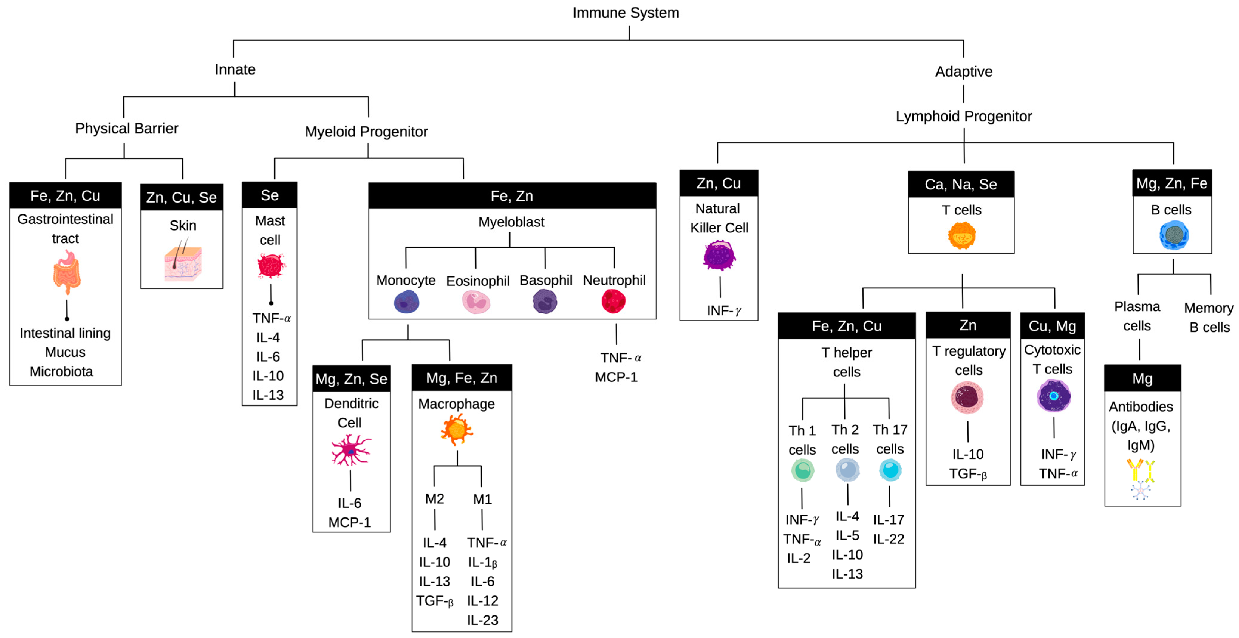 Nutrients 15 00123 g001