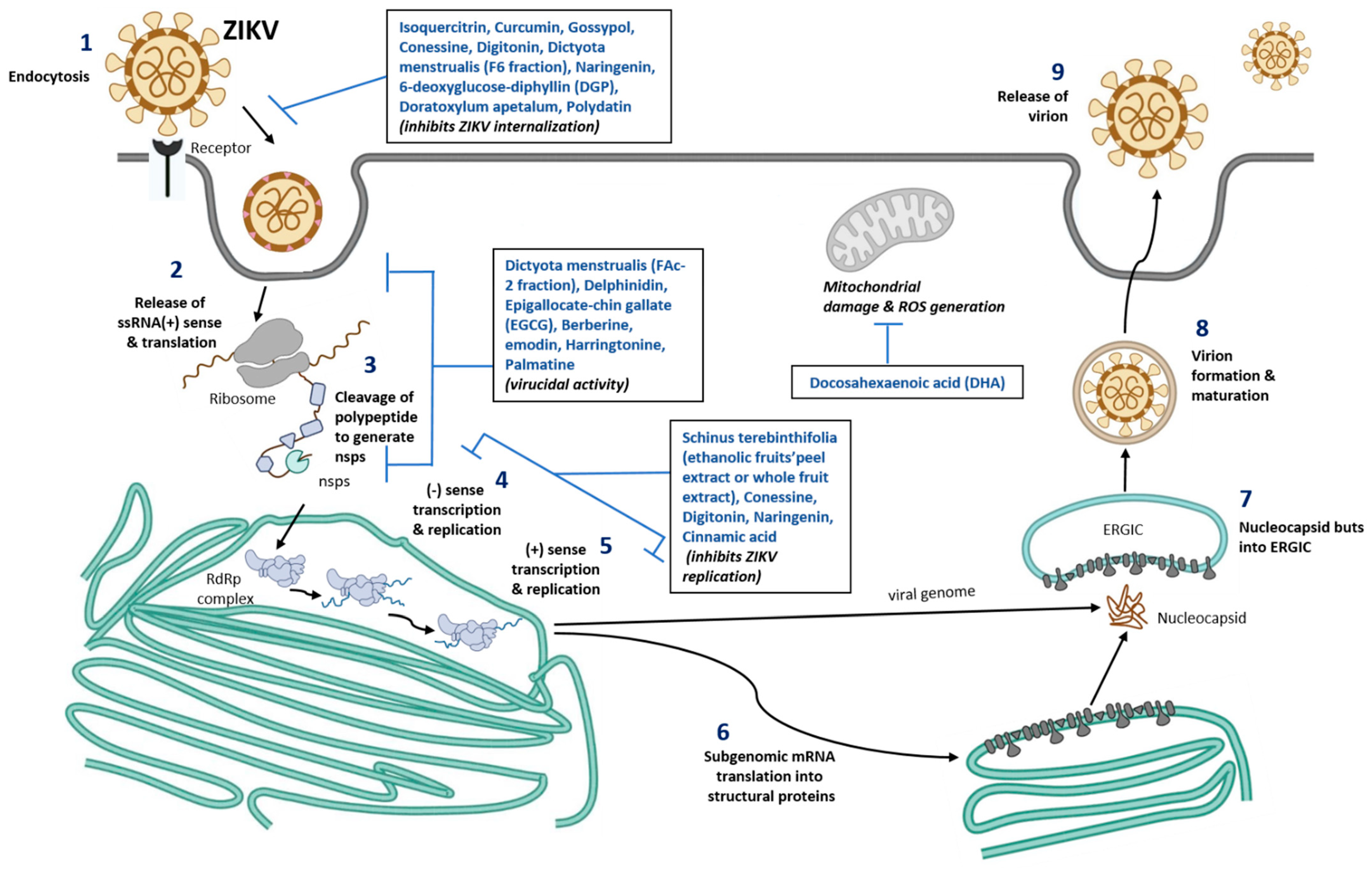 Nutrients 15 00124 g001