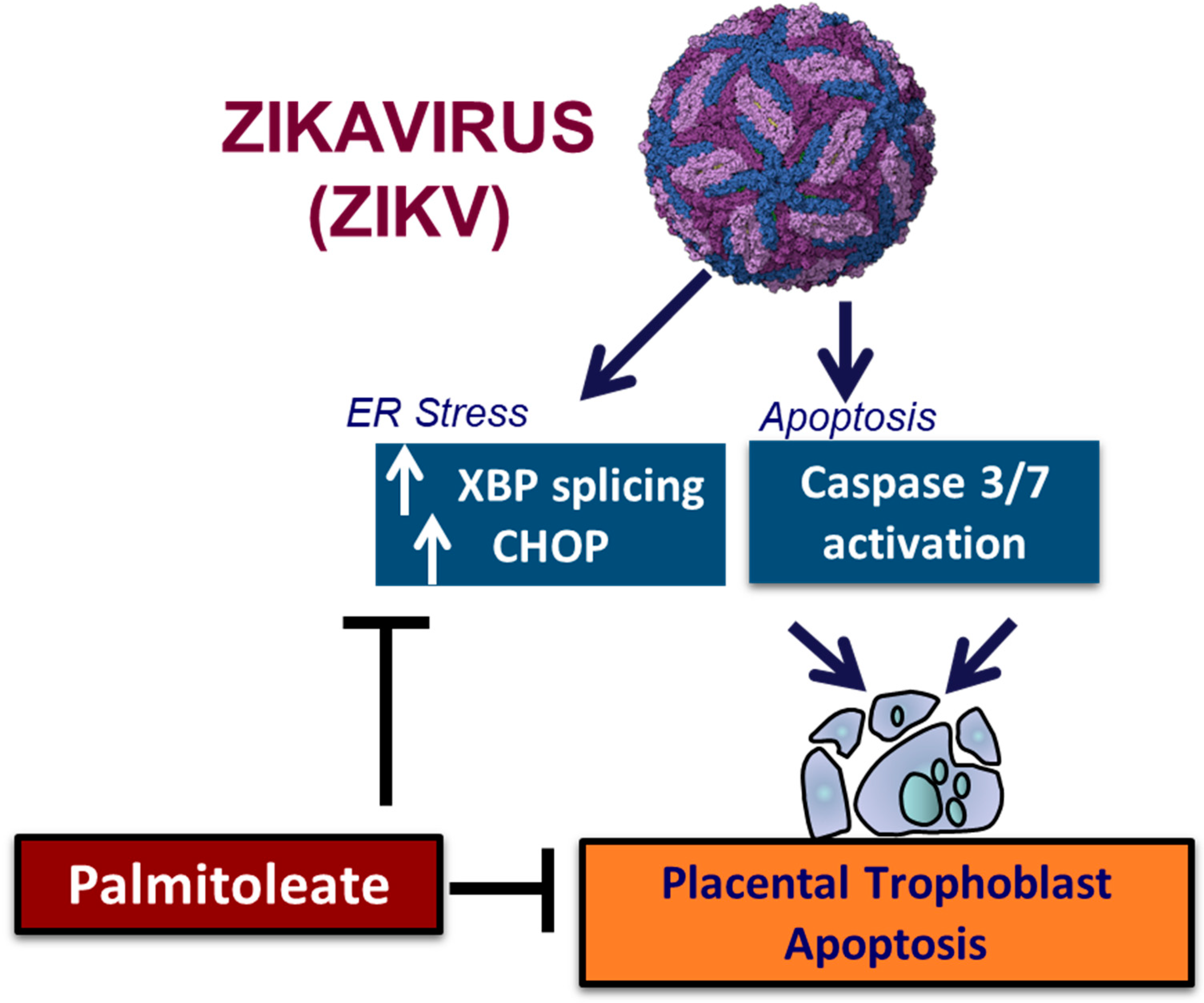 Nutrients 15 00124 g004