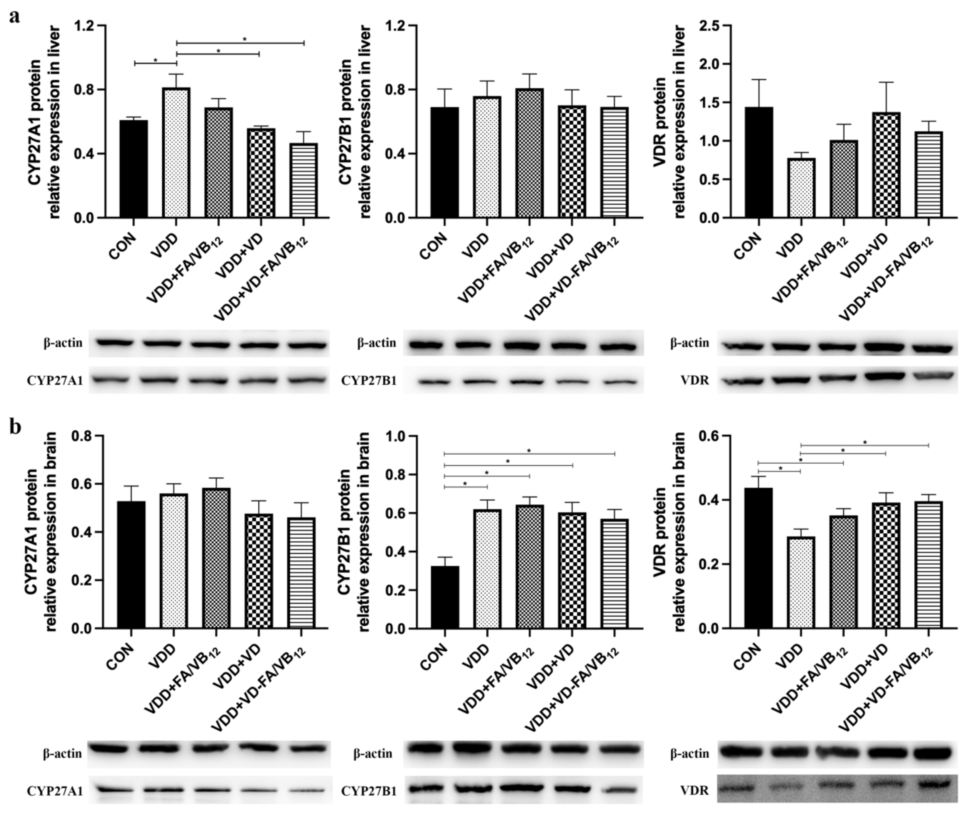 Nutrients 15 00132 g007