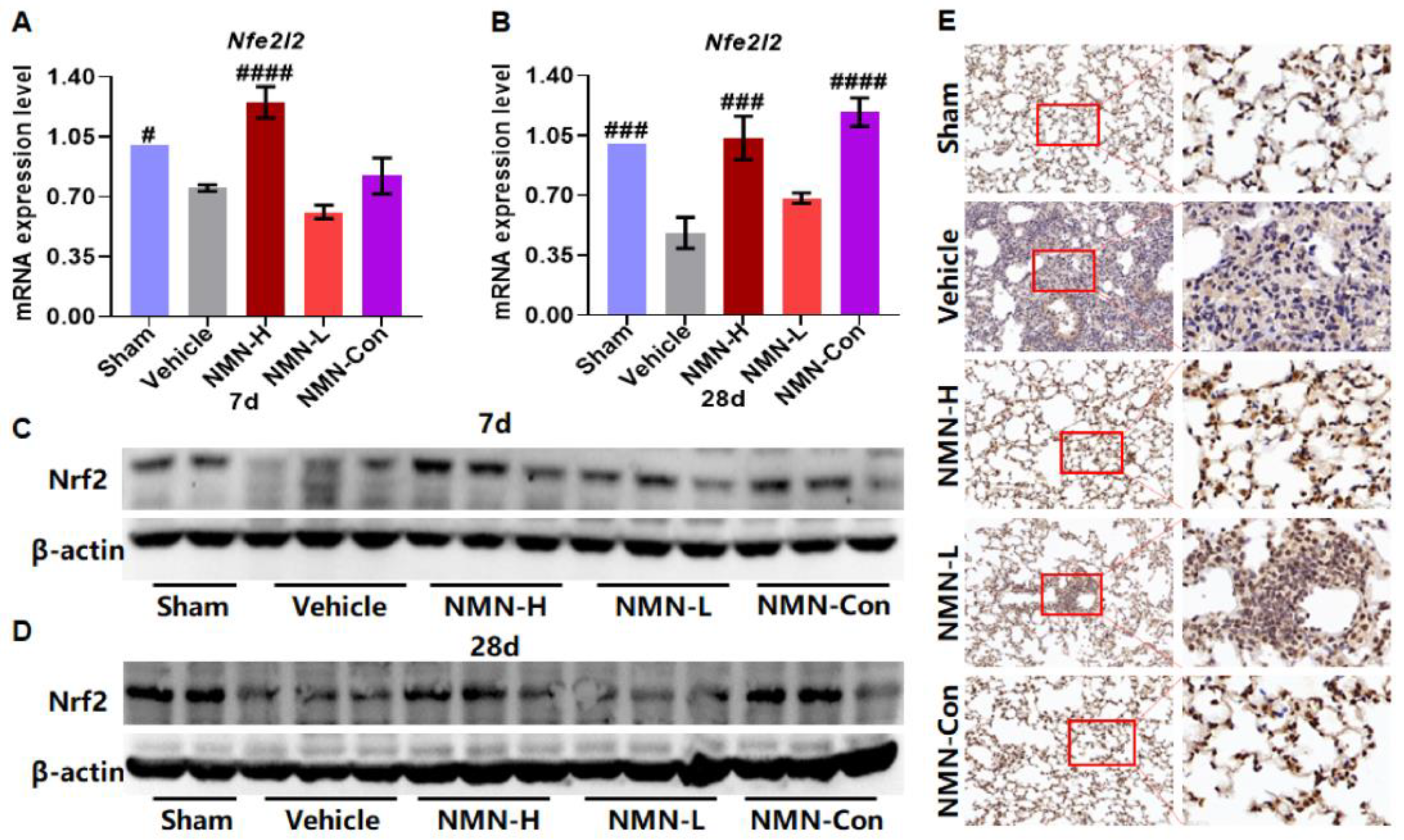 Nutrients 15 00143 g007