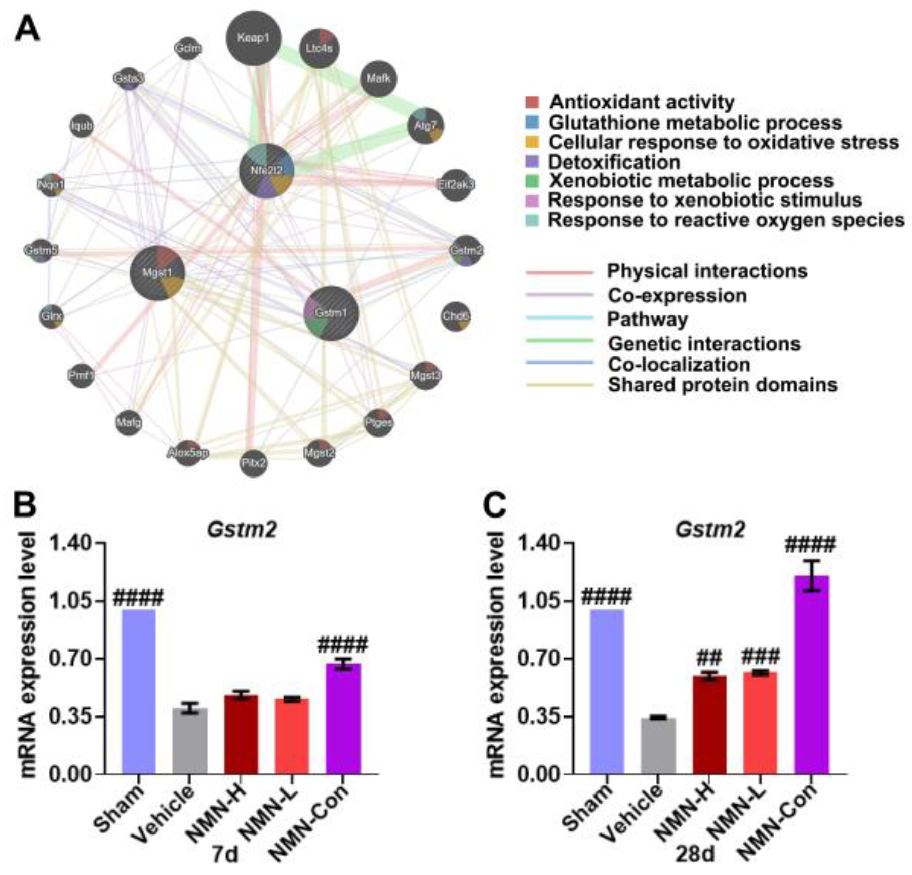 Nutrients 15 00143 g008