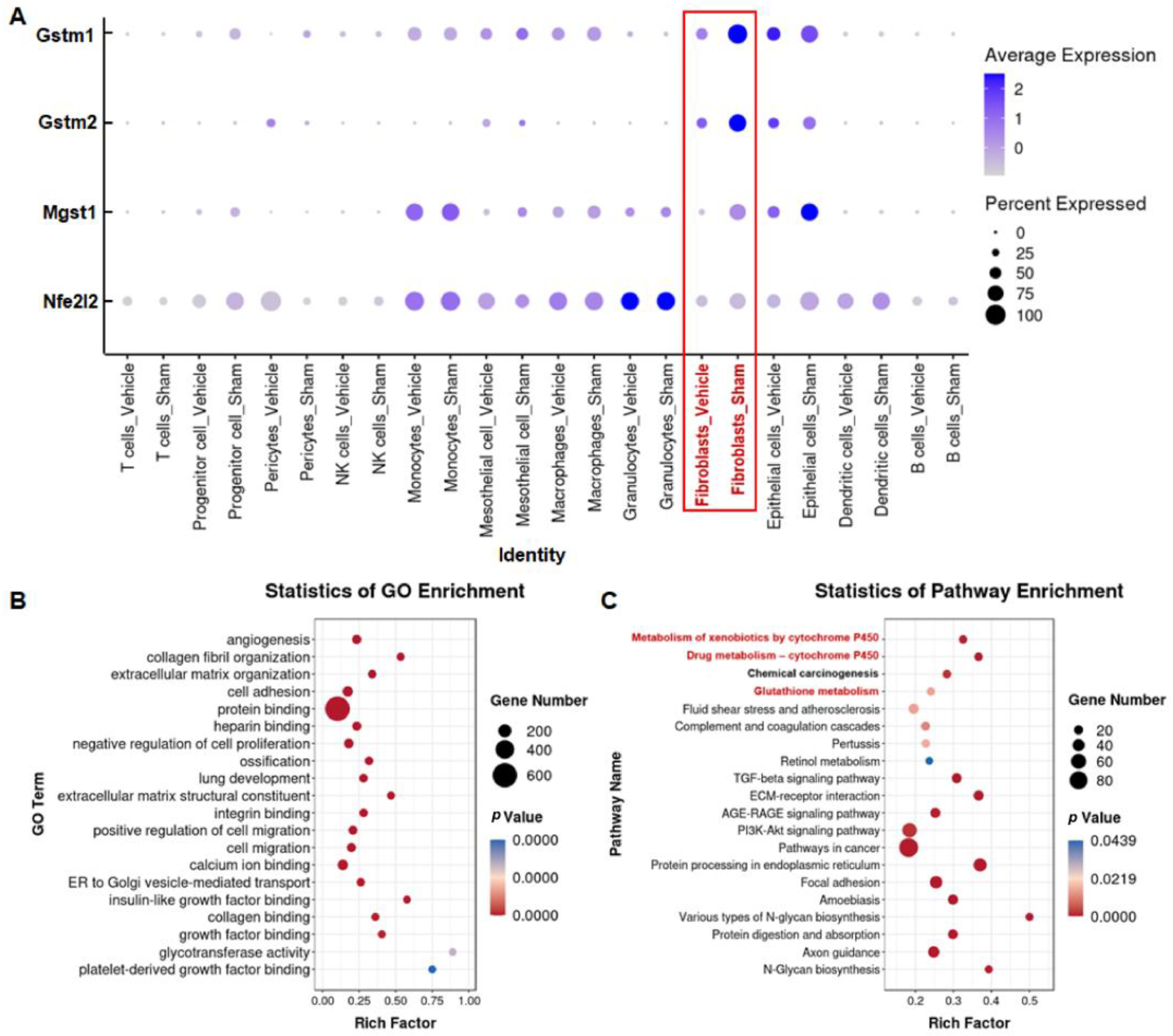 Nutrients 15 00143 g009