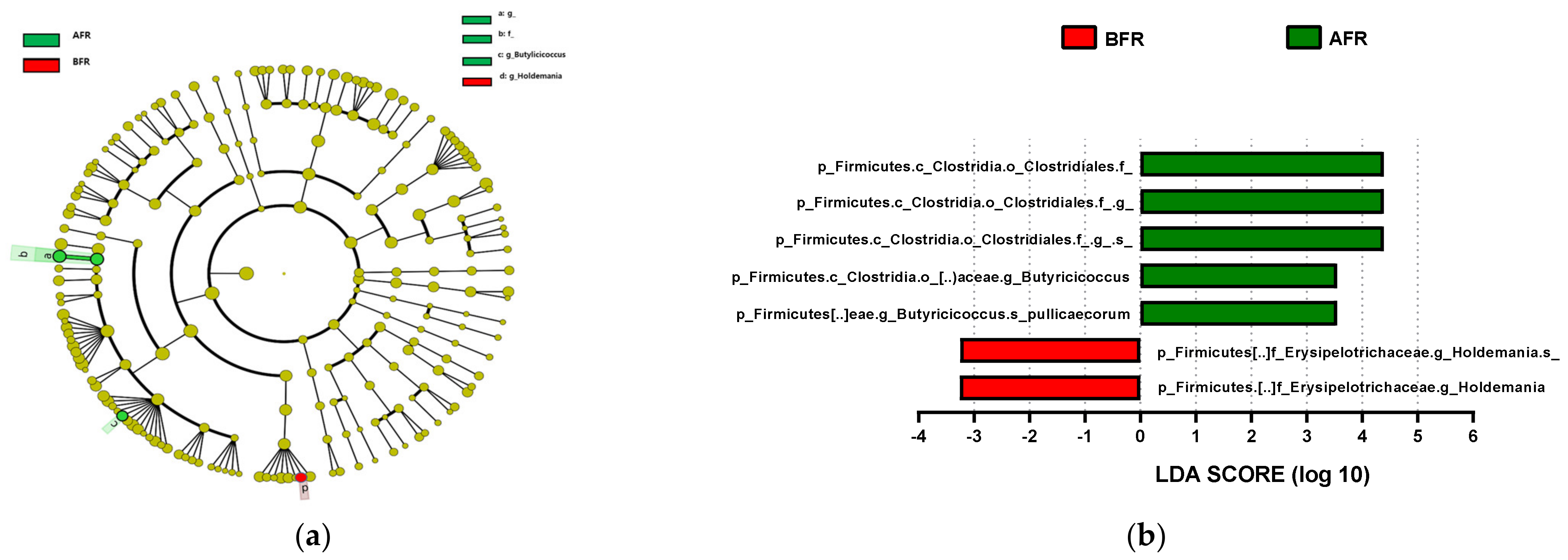 Nutrients 15 00145 g005a Nutrients 15 00145 g005a