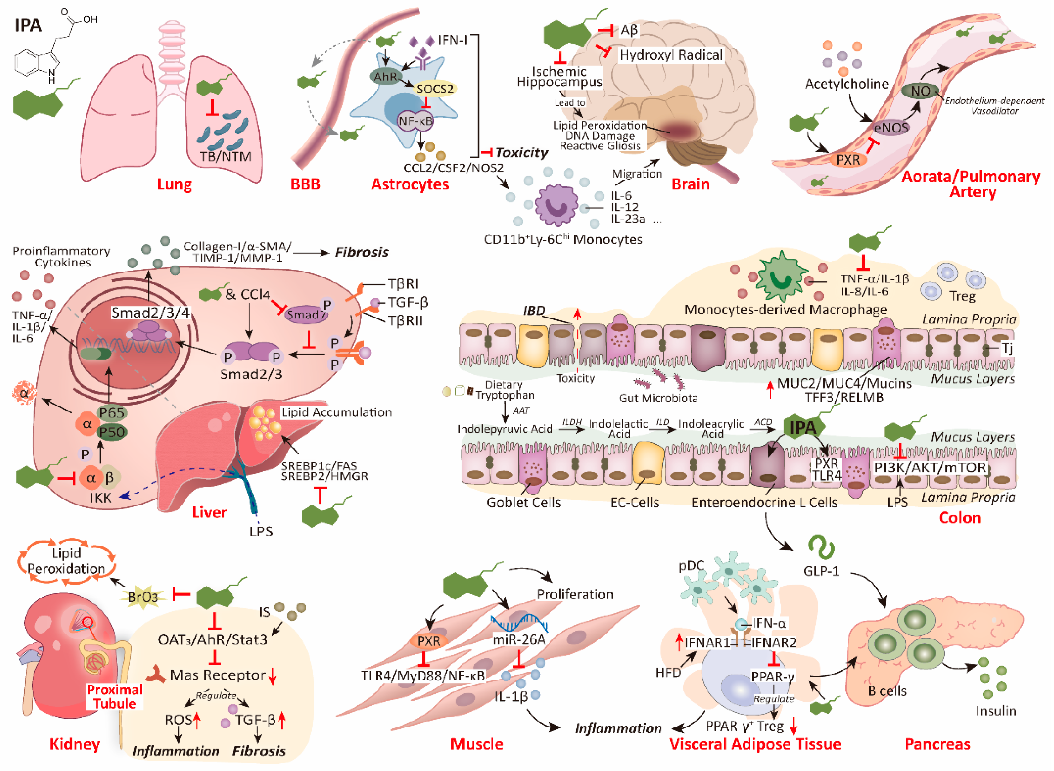 Nutrients 15 00151 g002