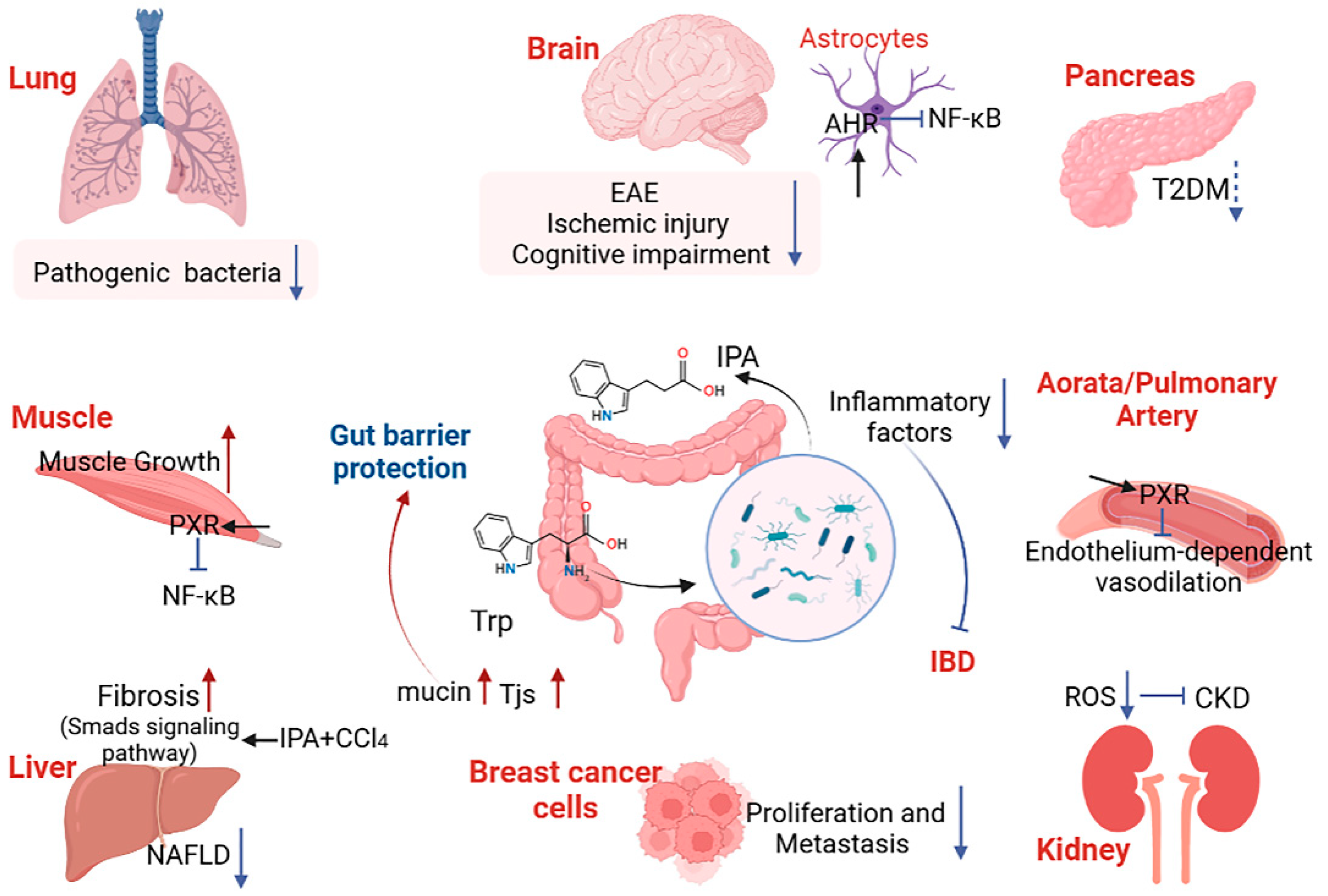 Nutrients 15 00151 g003