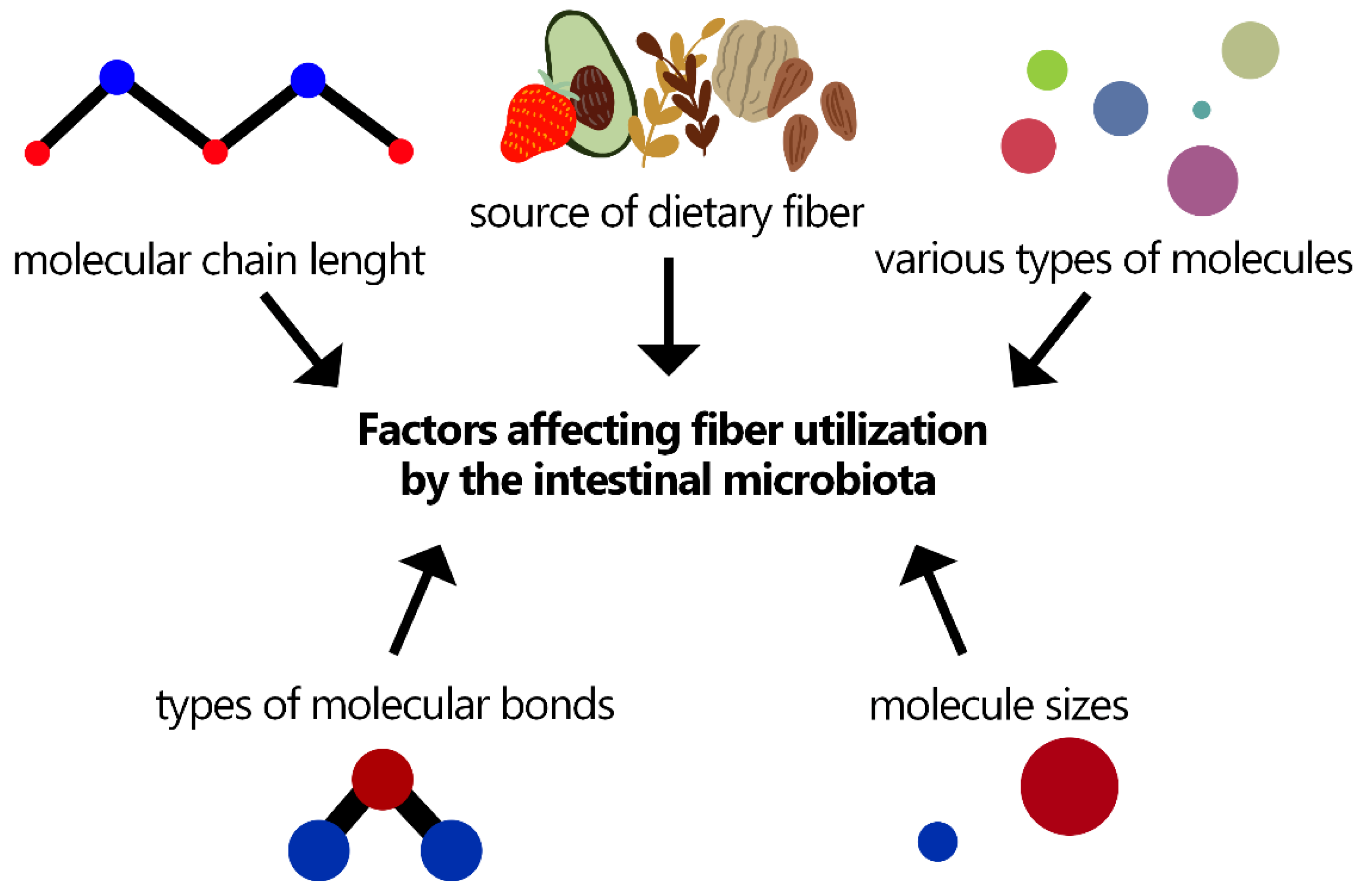 Nutrients 15 00162 g001