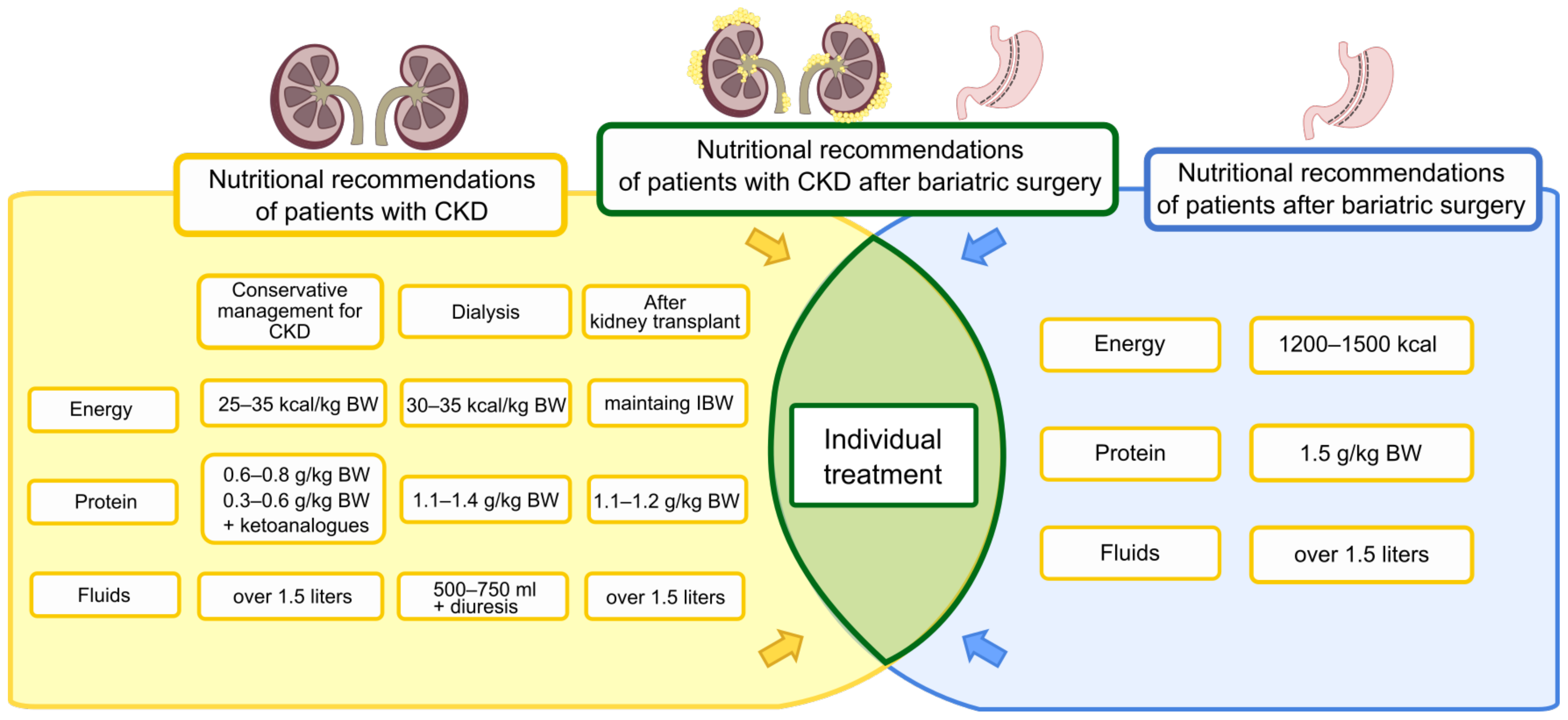 Nutrients 15 00165 g001 Nutrients 15 00165 g001