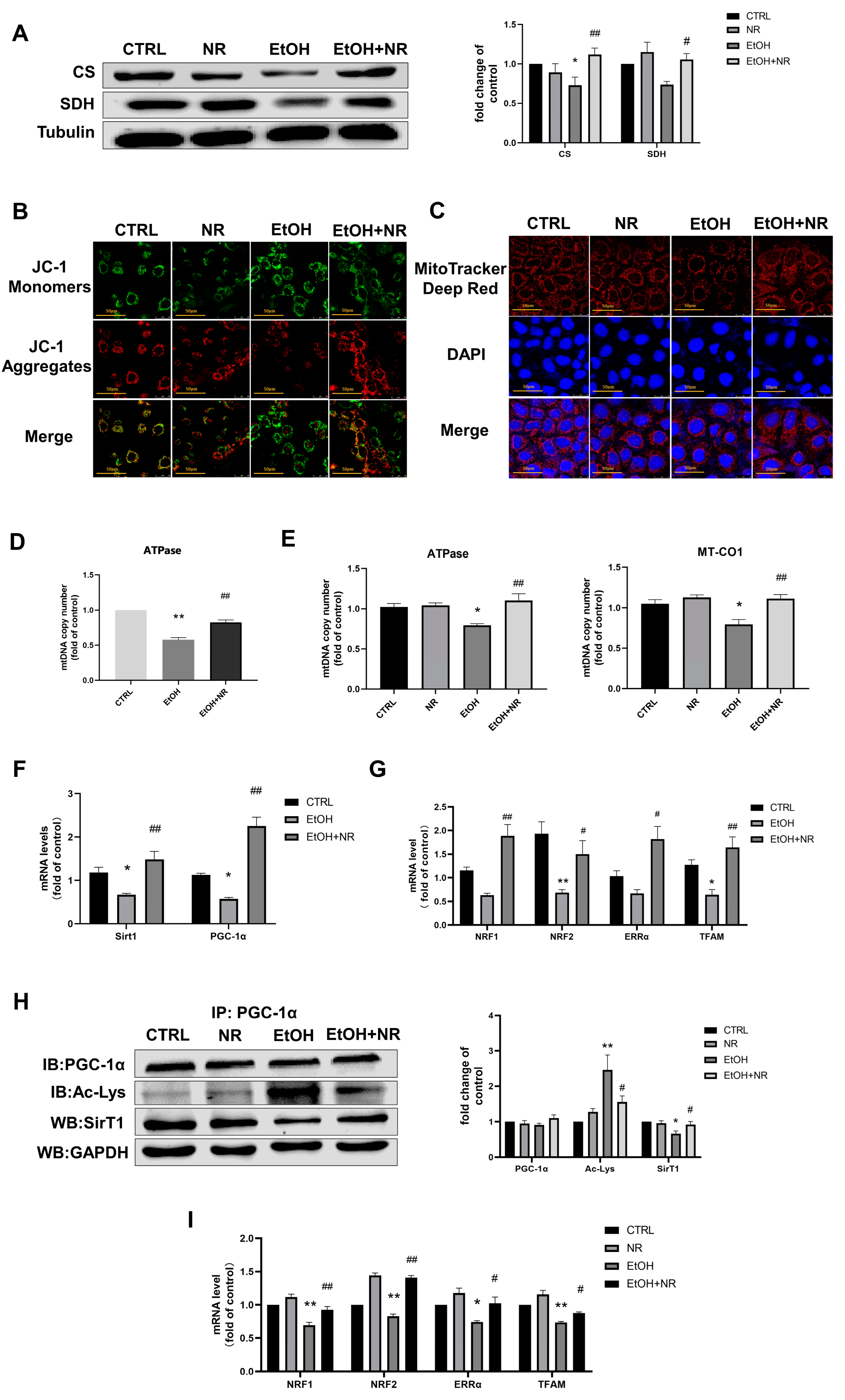 Nutrients 15 00174 g003 Nutrients 15 00174 g003