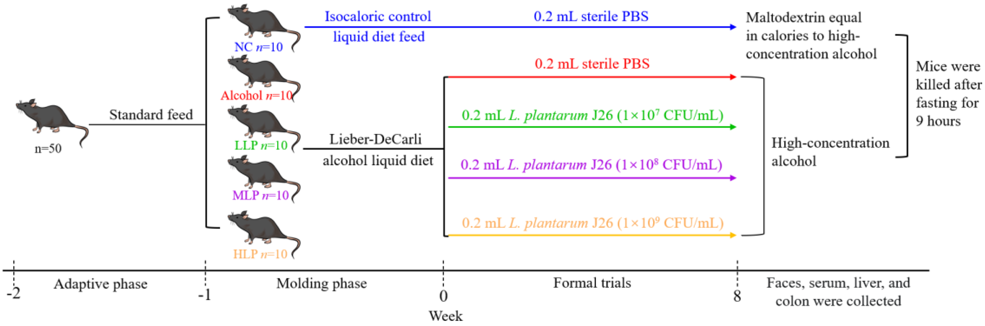 Nutrients 15 00190 g001