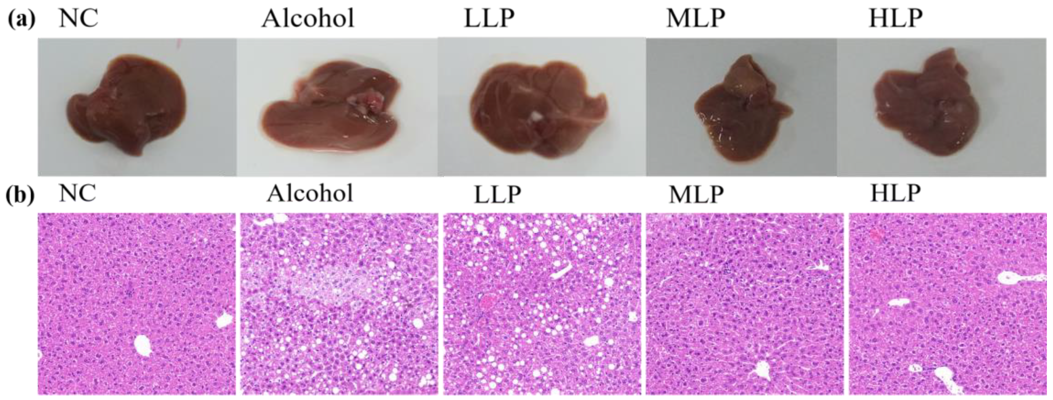 Nutrients 15 00190 g003