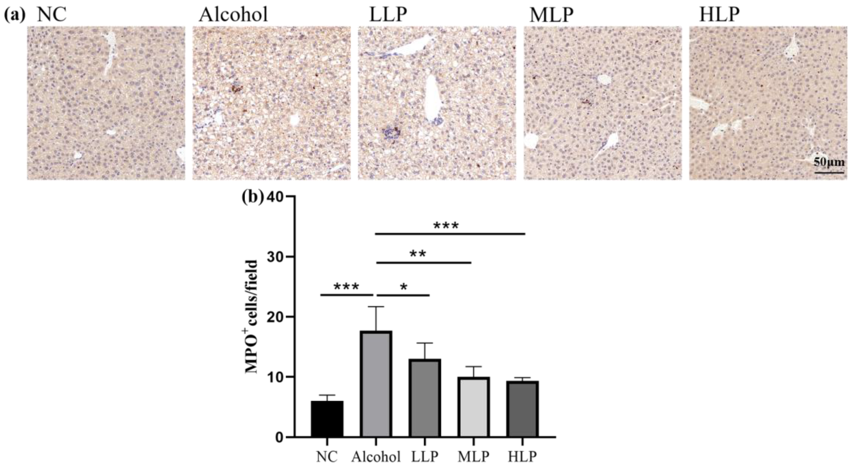 Nutrients 15 00190 g005