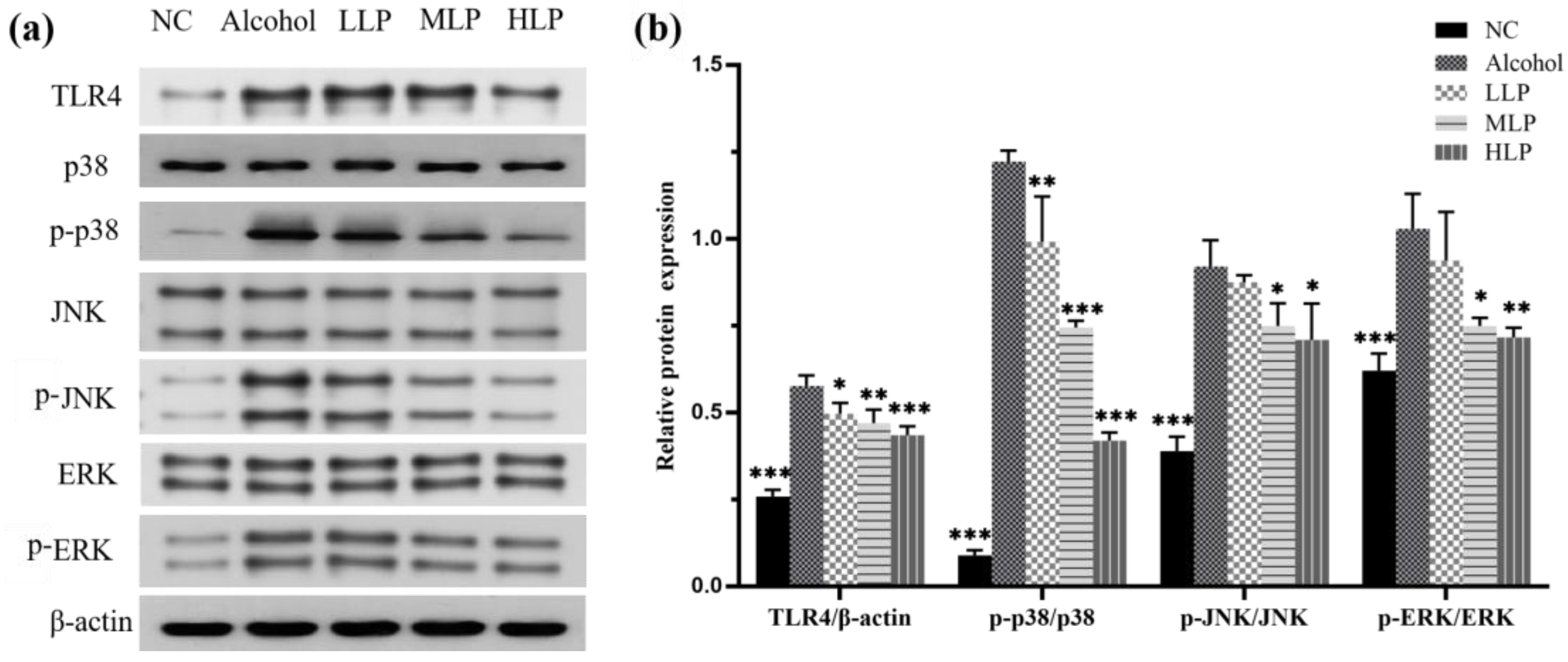 Nutrients 15 00190 g007