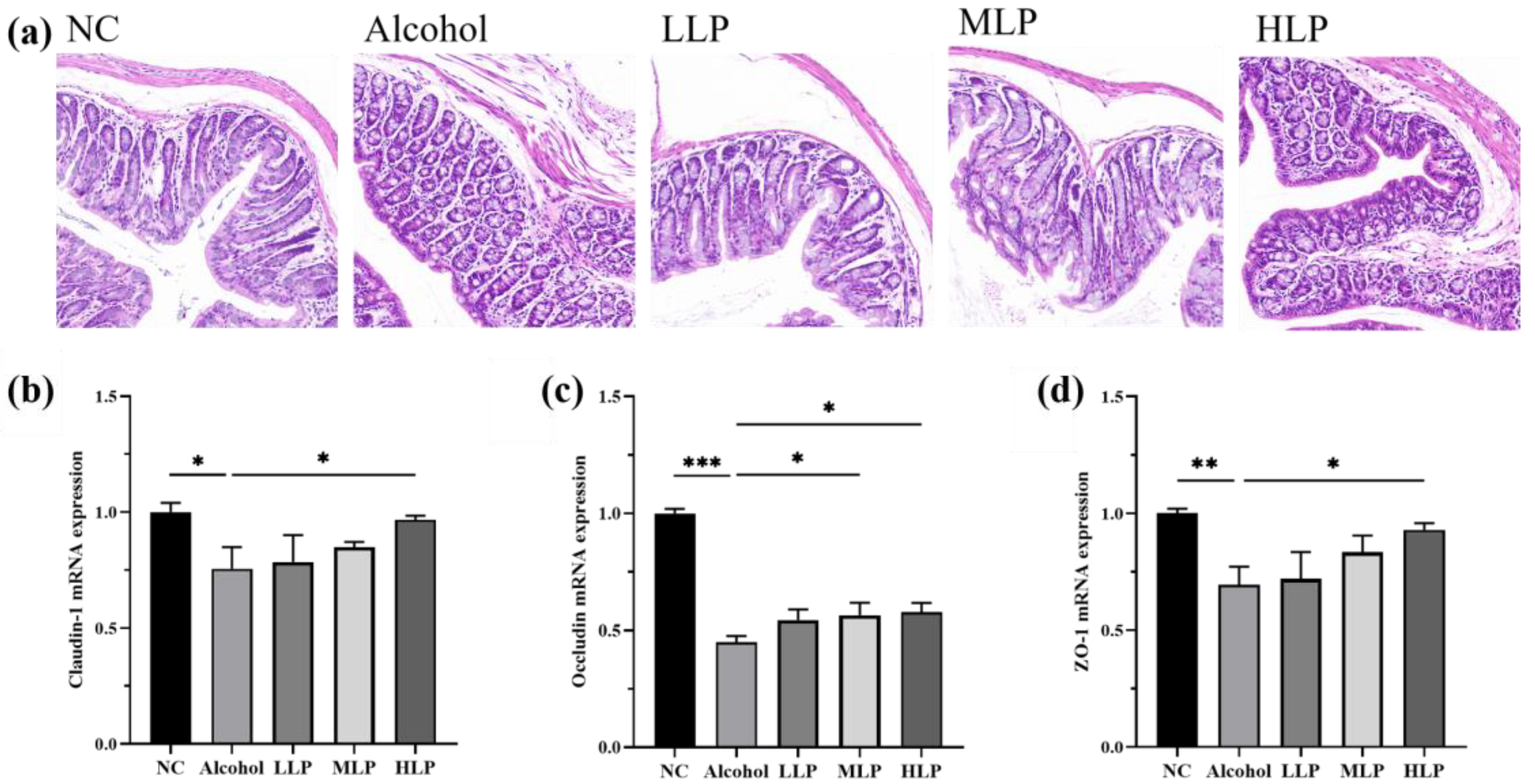 Nutrients 15 00190 g008