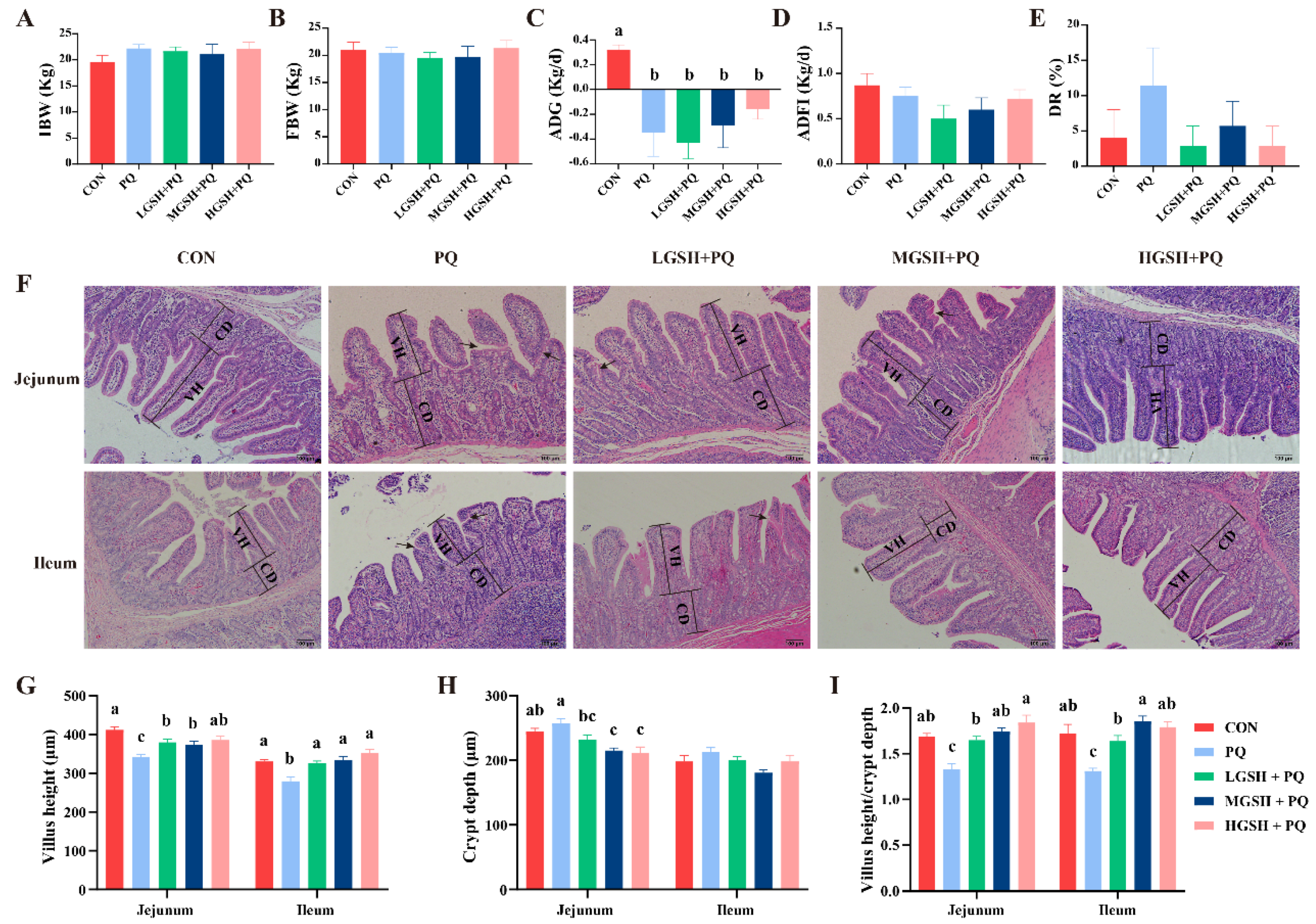 Nutrients 15 00198 g002