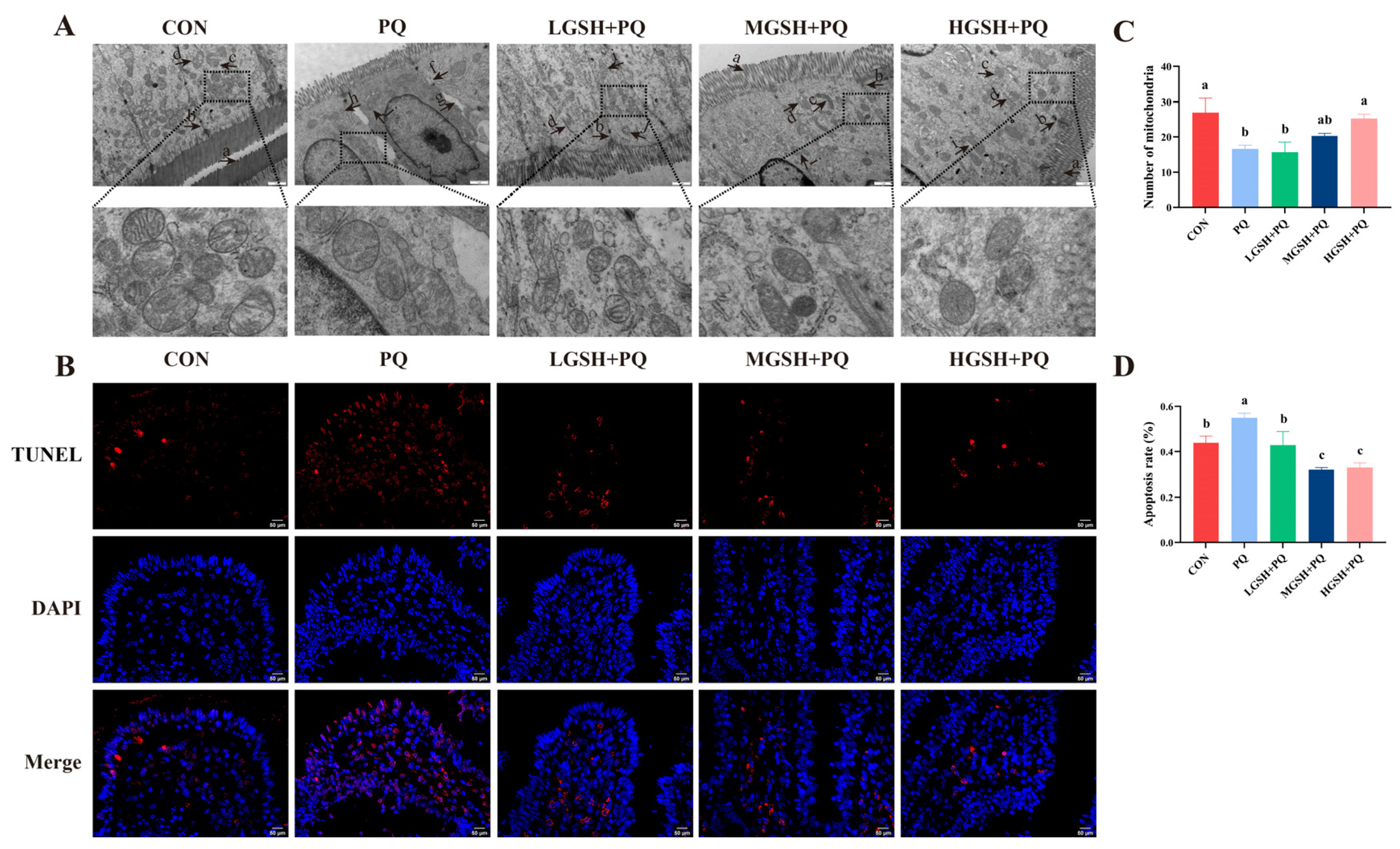 Nutrients 15 00198 g003