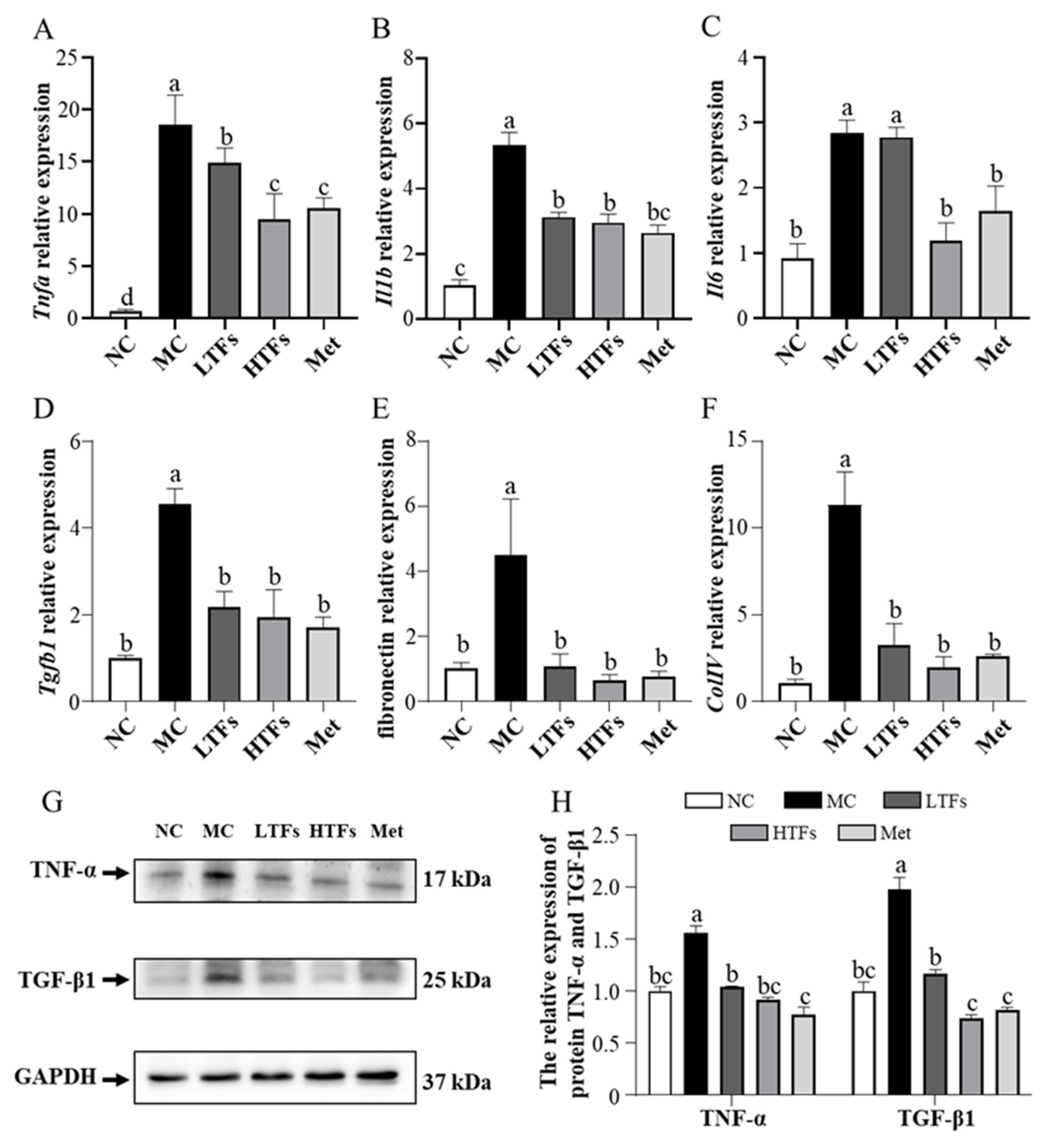 Nutrients 15 00201 g005