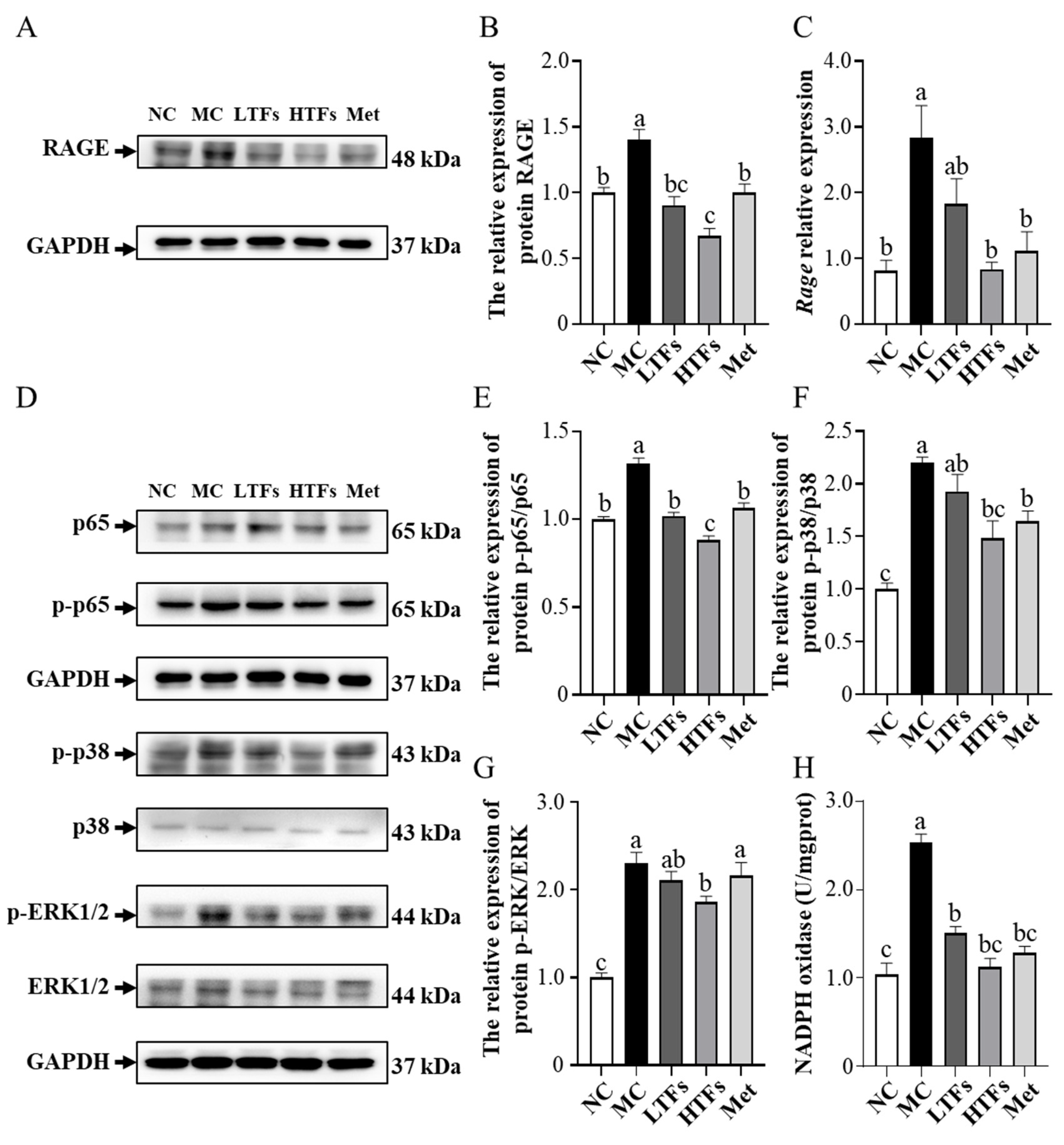 Nutrients 15 00201 g006
