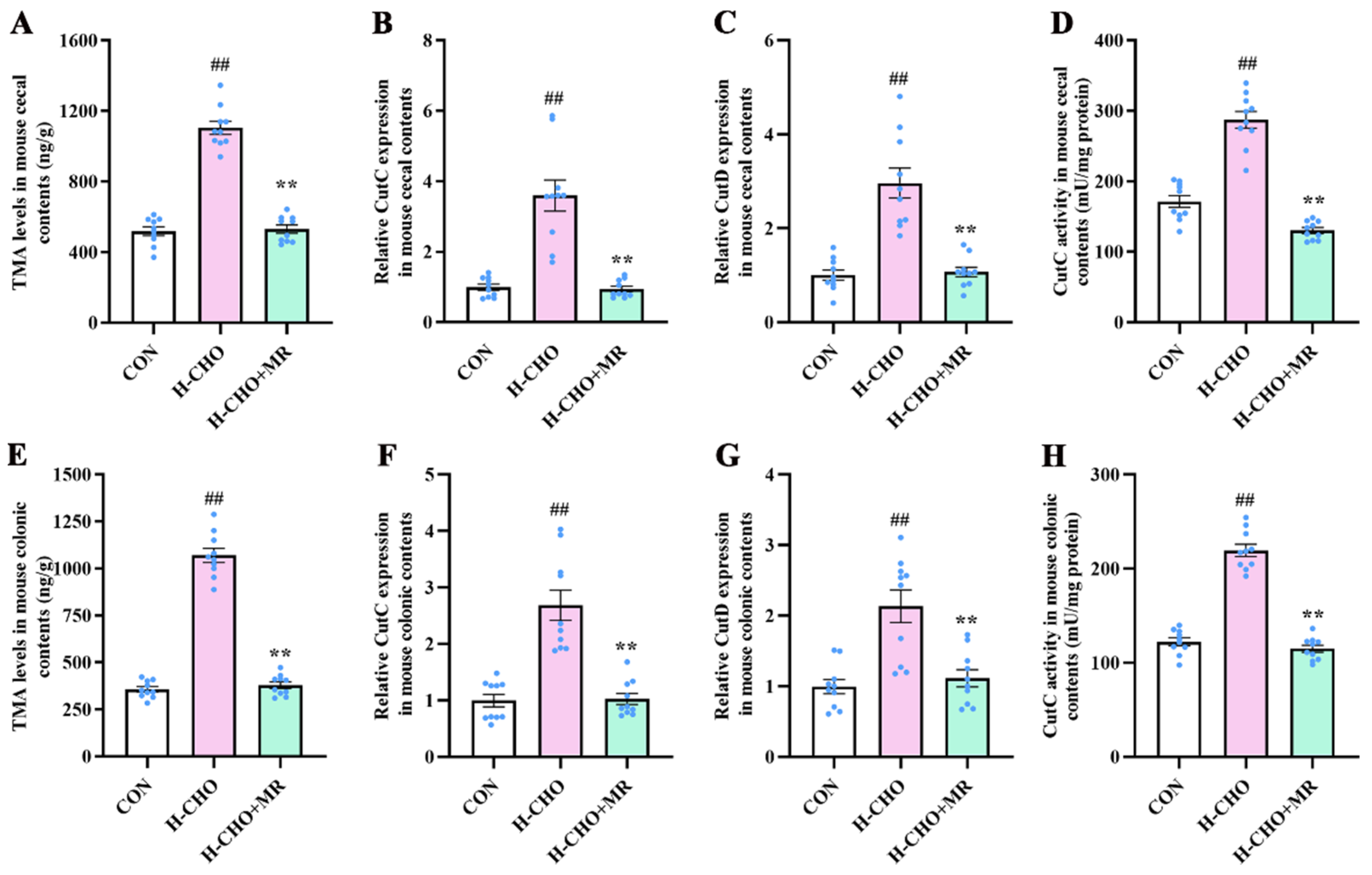 Nutrients 15 00206 g005
