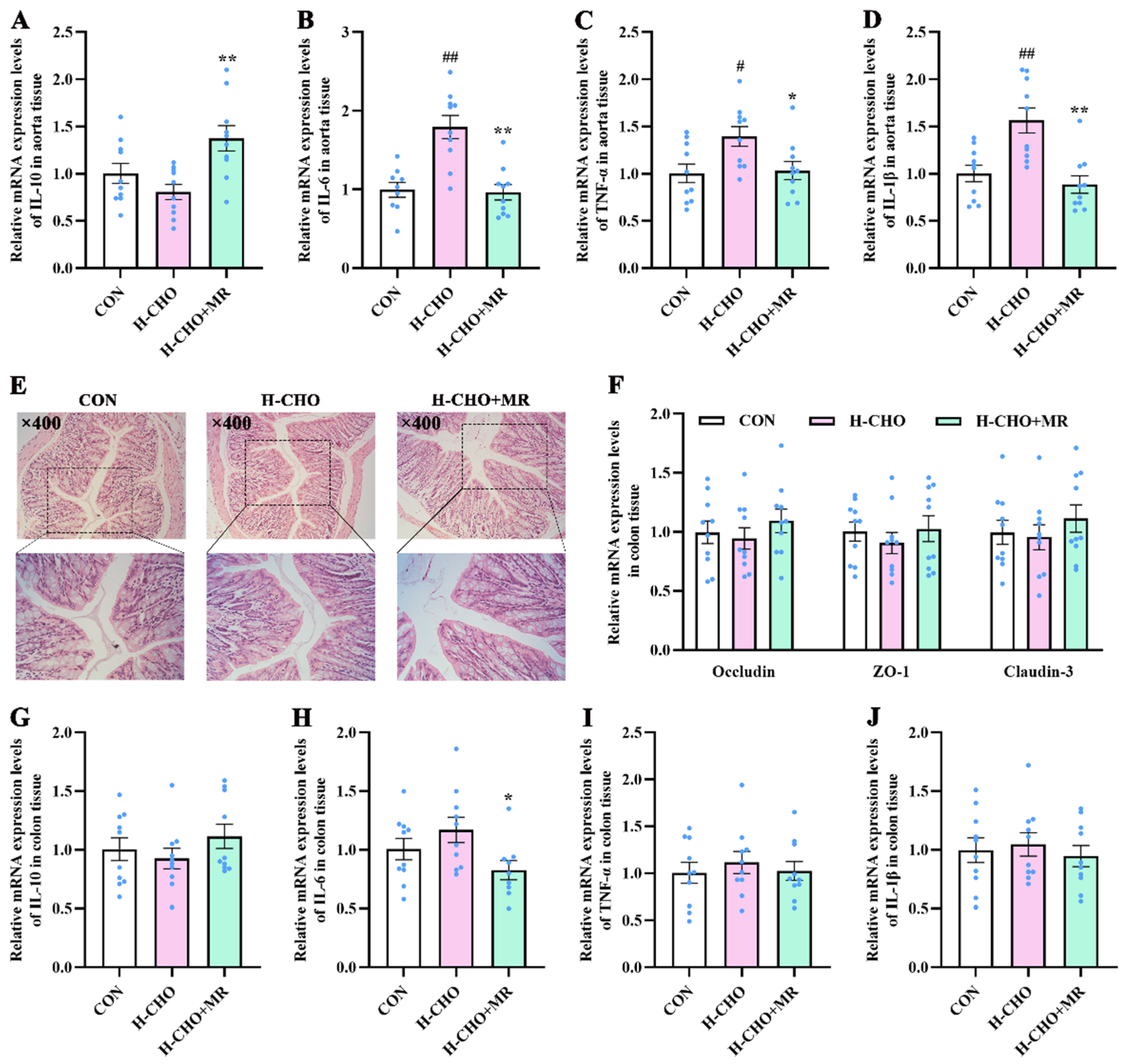 Nutrients 15 00206 g007
