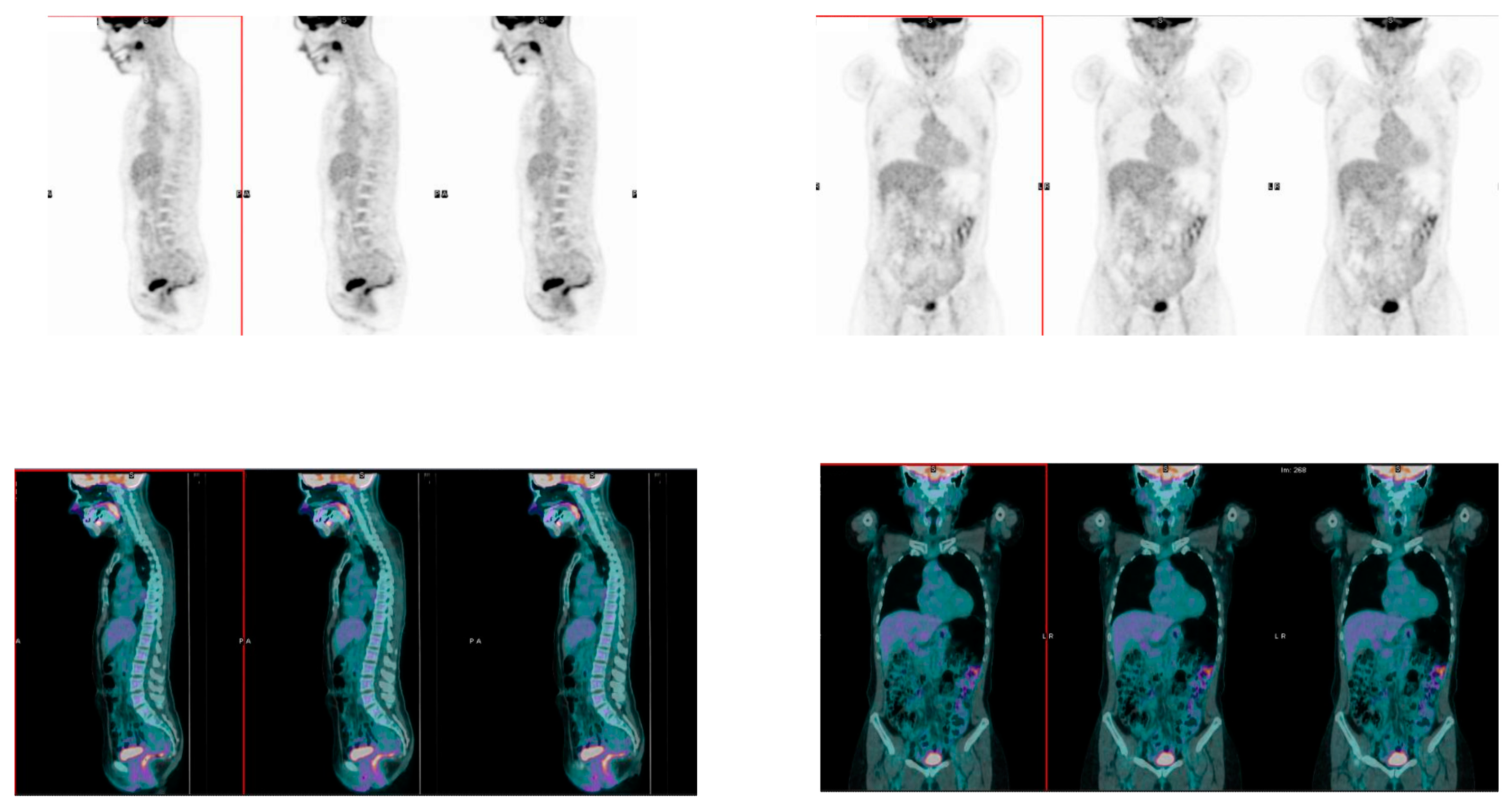 Nutrients 15 00211 g002 Nutrients 15 00211 g002