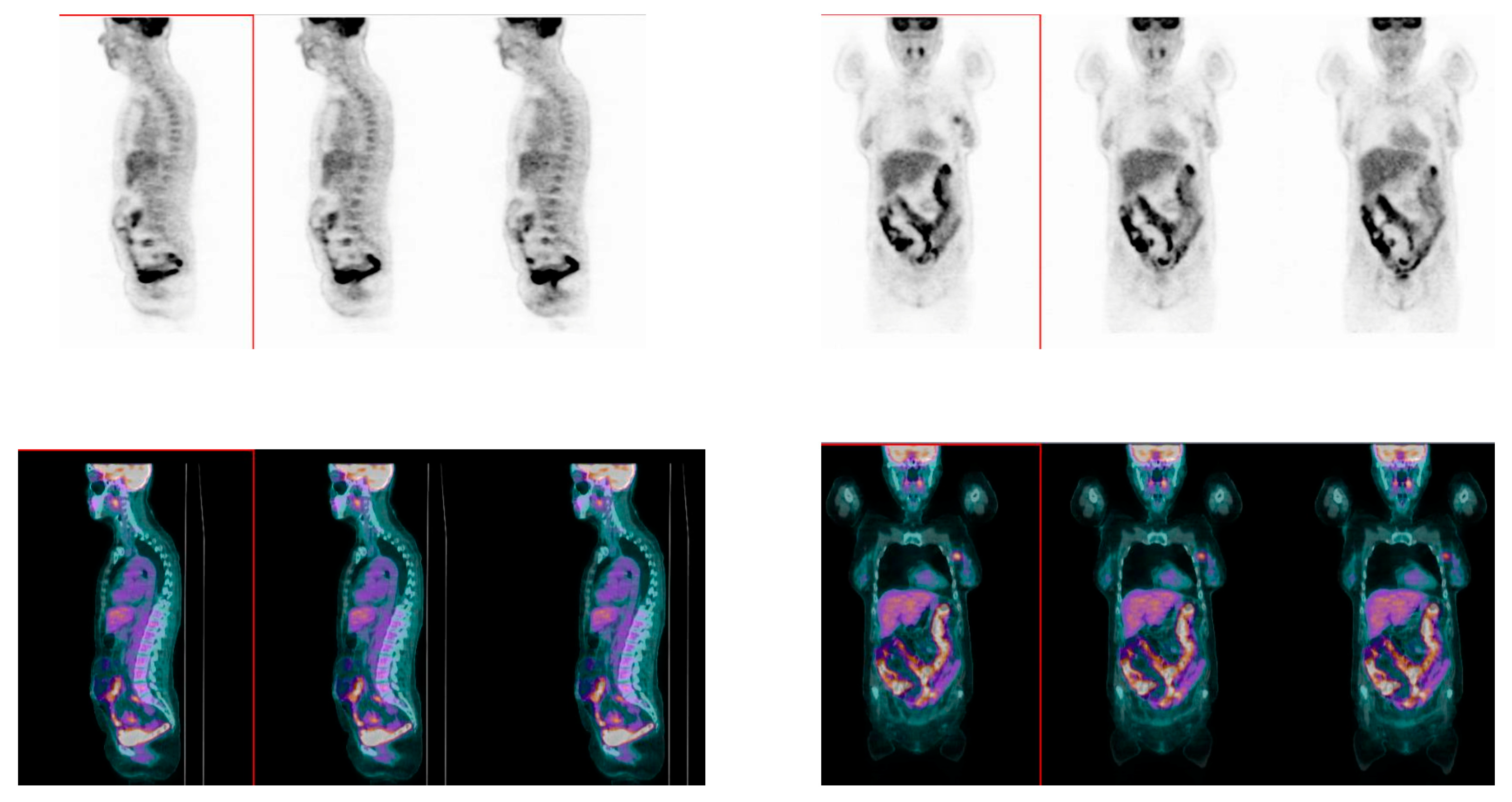 Nutrients 15 00211 g003 Nutrients 15 00211 g003