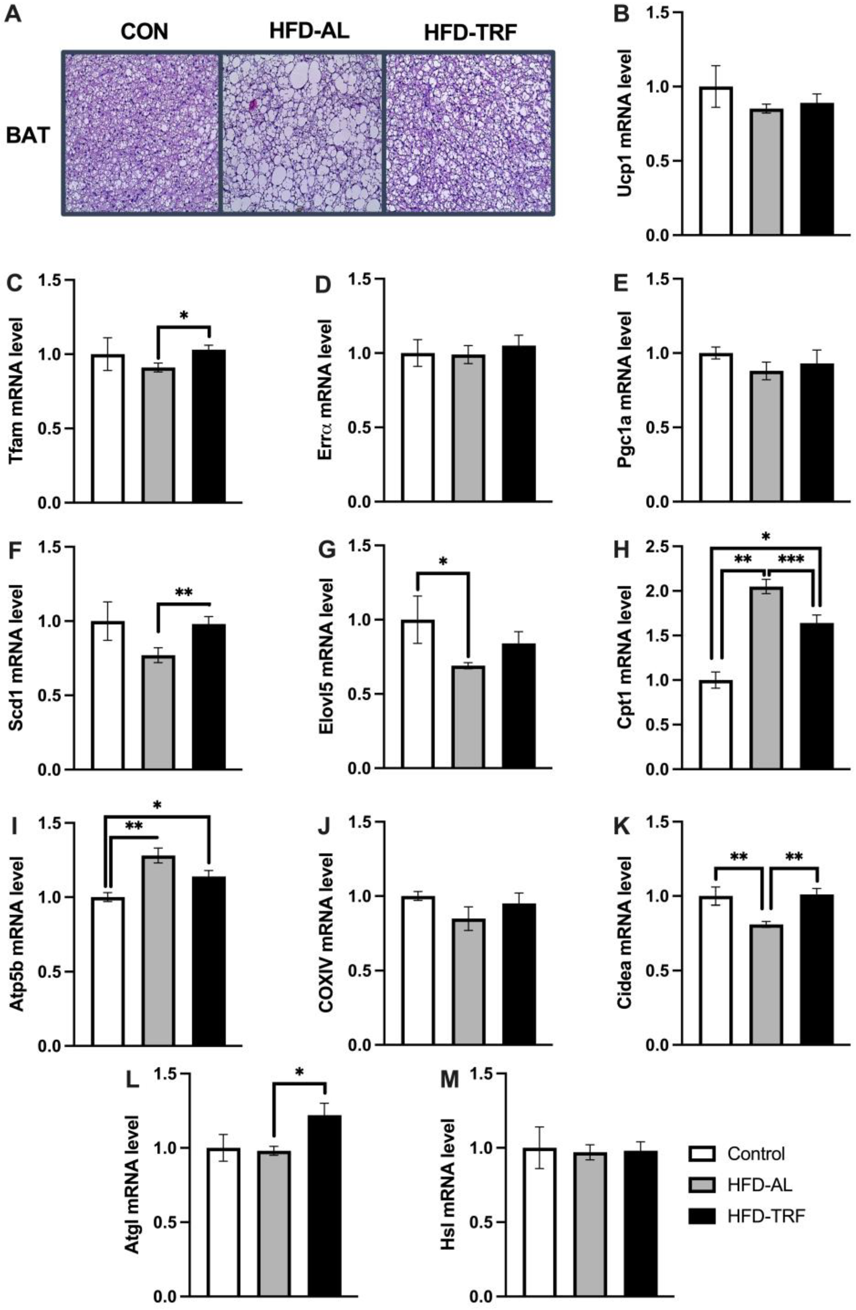 Nutrients 15 00238 g003