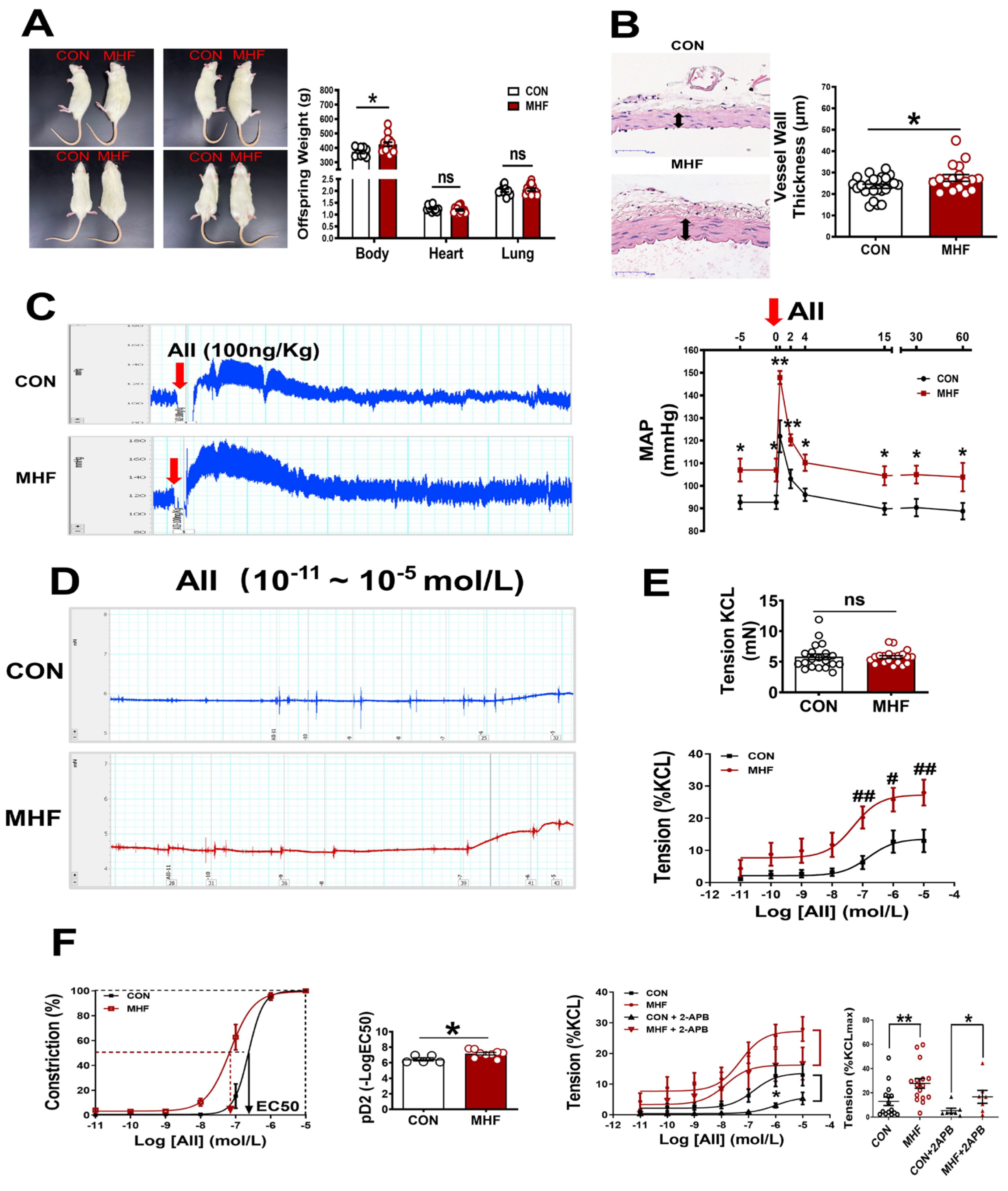 Nutrients 15 00245 g001