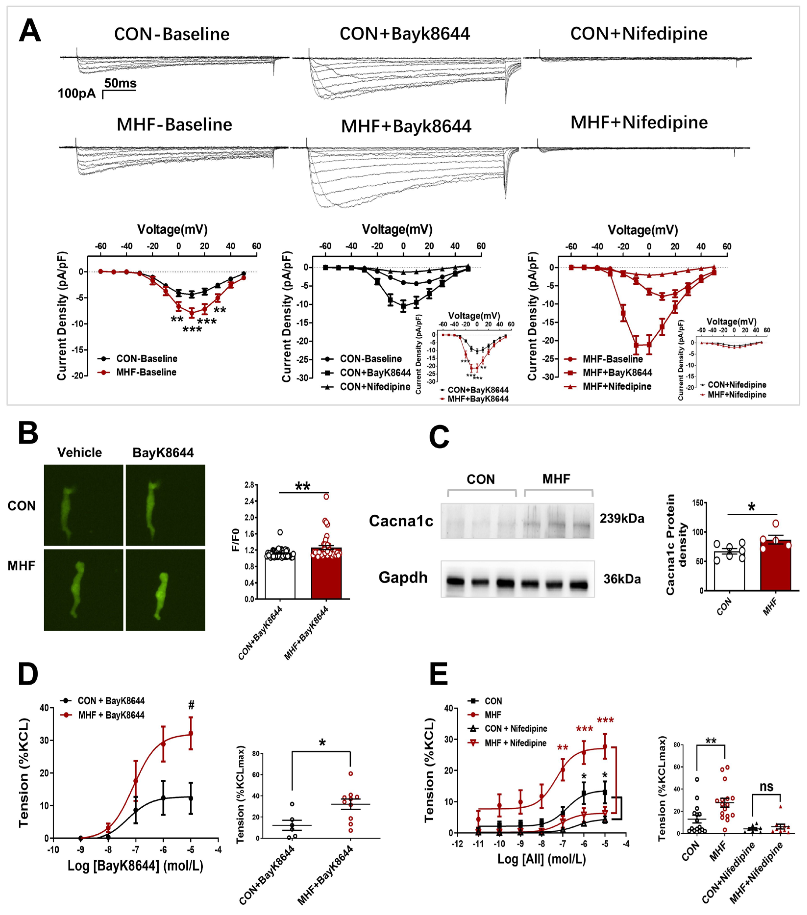 Nutrients 15 00245 g003