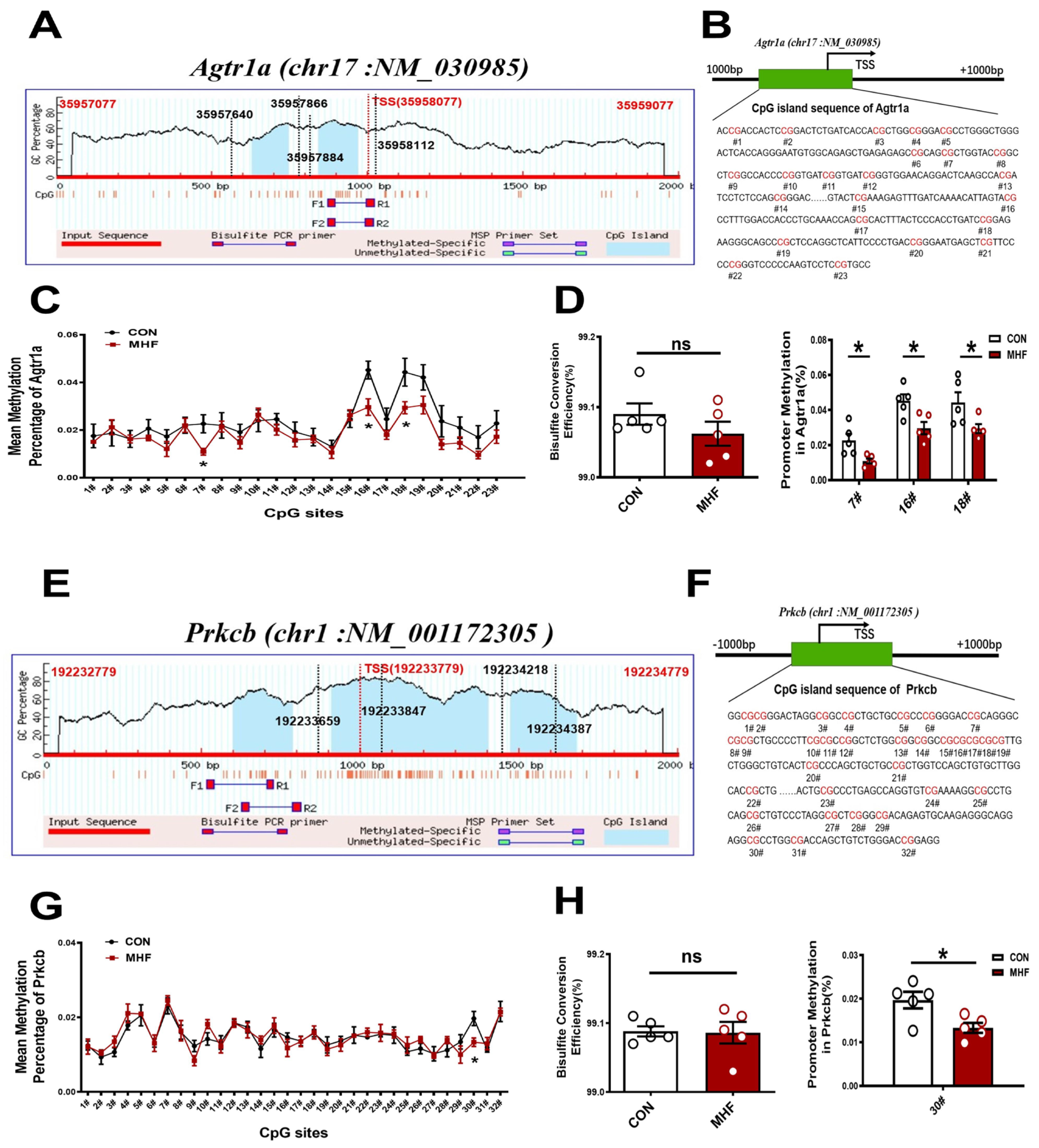 Nutrients 15 00245 g006