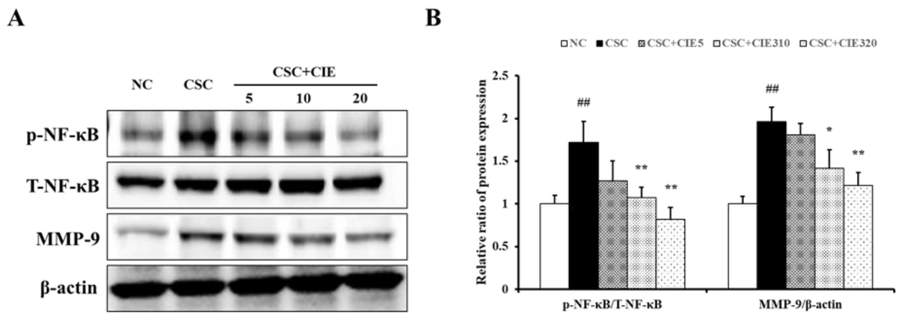 Nutrients 15 00253 g007 Nutrients 15 00253 g007