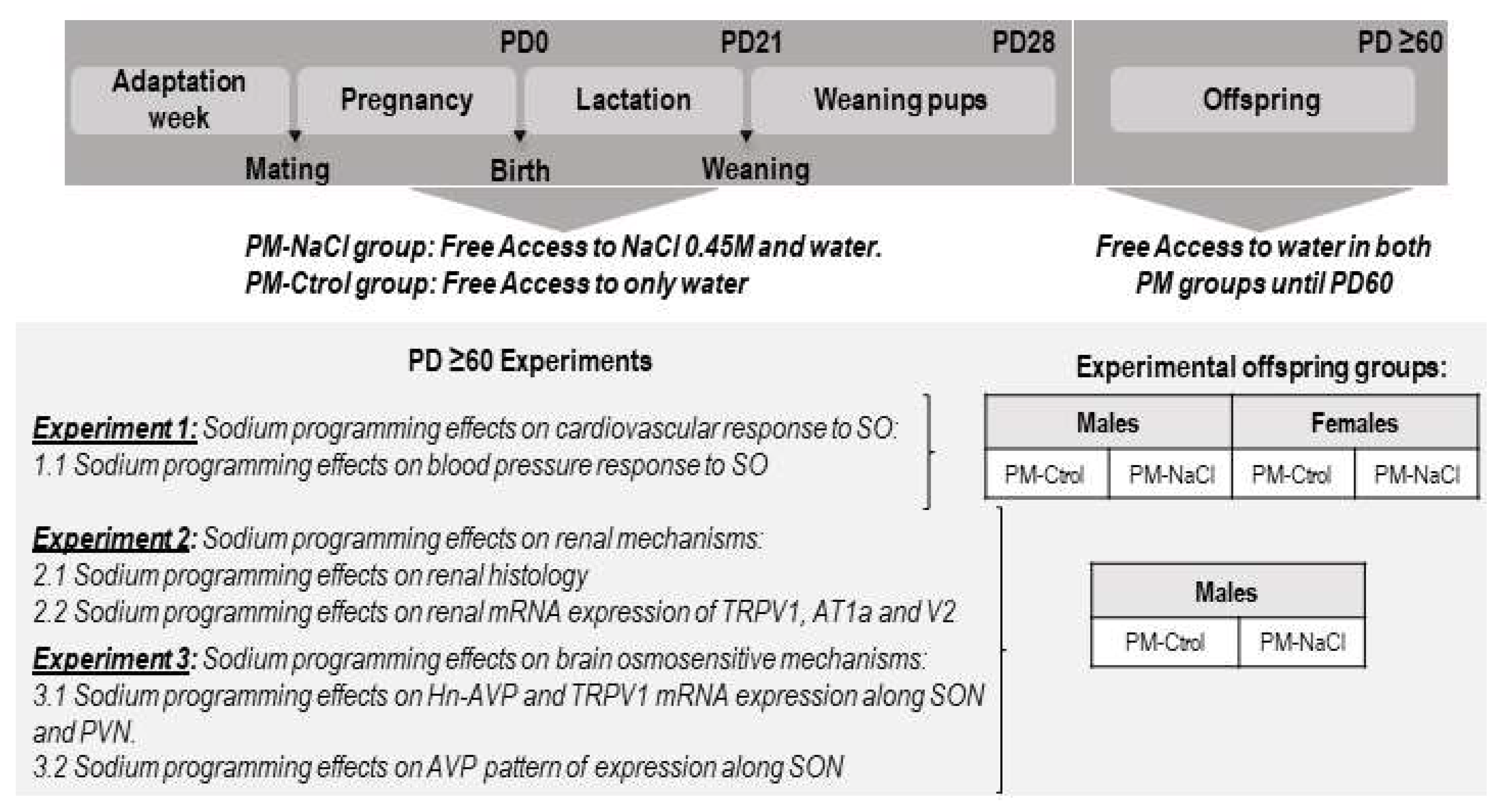 Nutrients 15 00254 g001 Nutrients 15 00254 g001