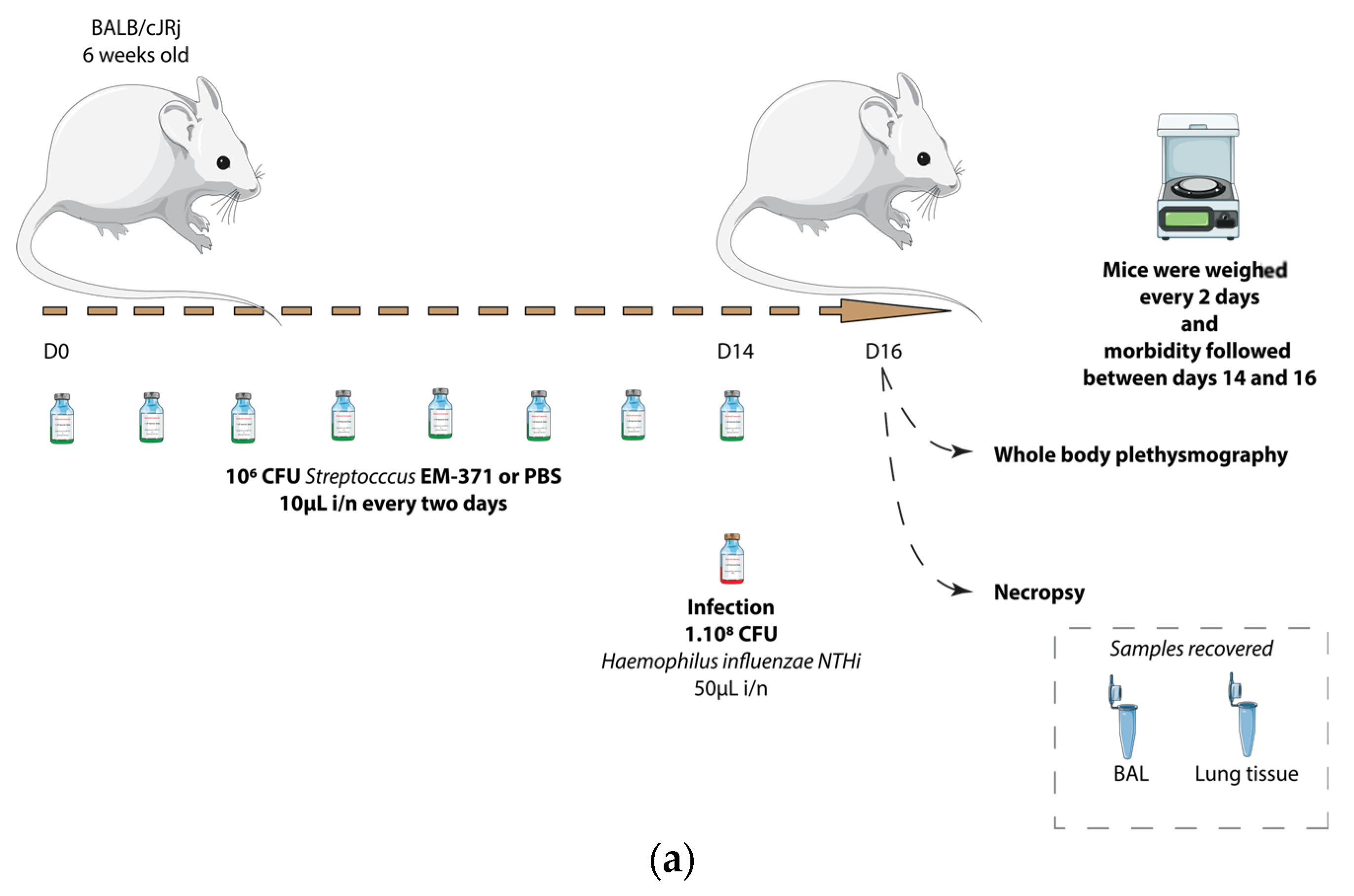 Nutrients 15 00263 g002a Nutrients 15 00263 g002a