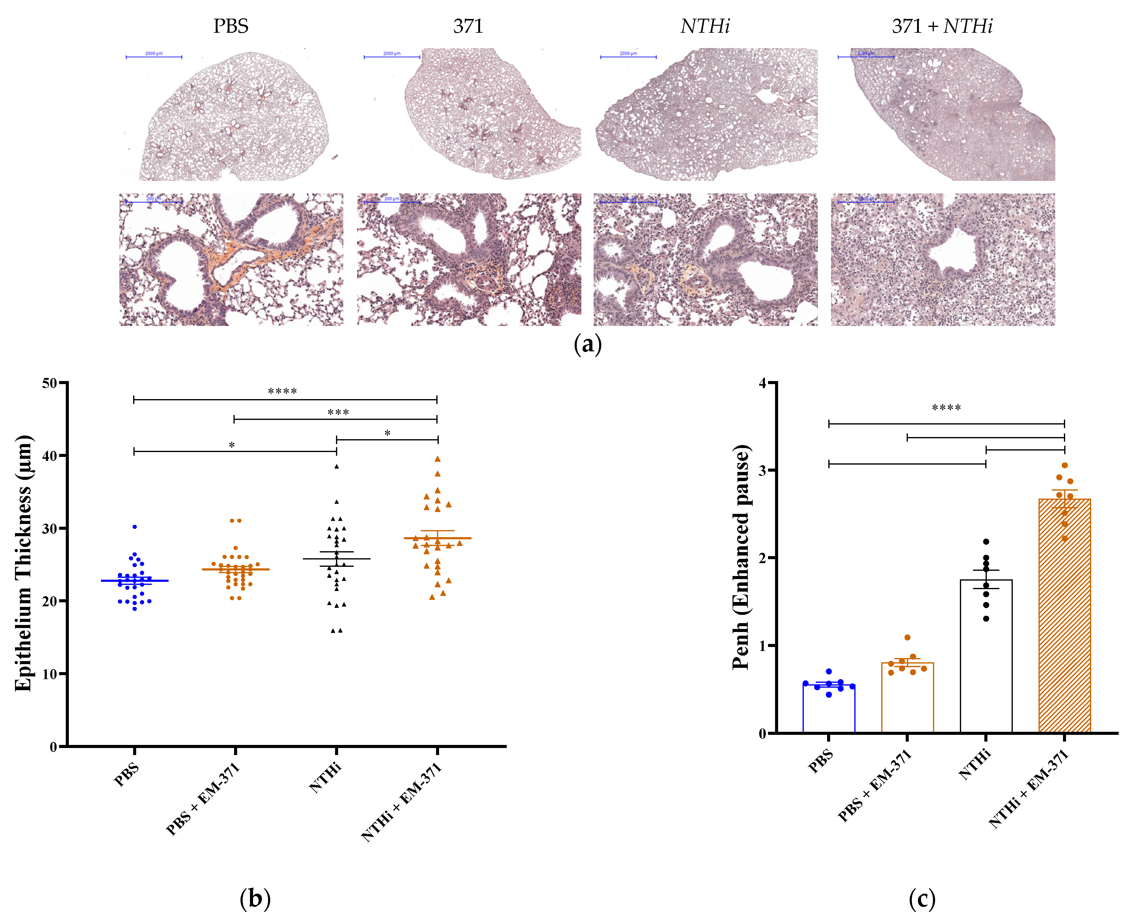 Nutrients 15 00263 g005 Nutrients 15 00263 g005