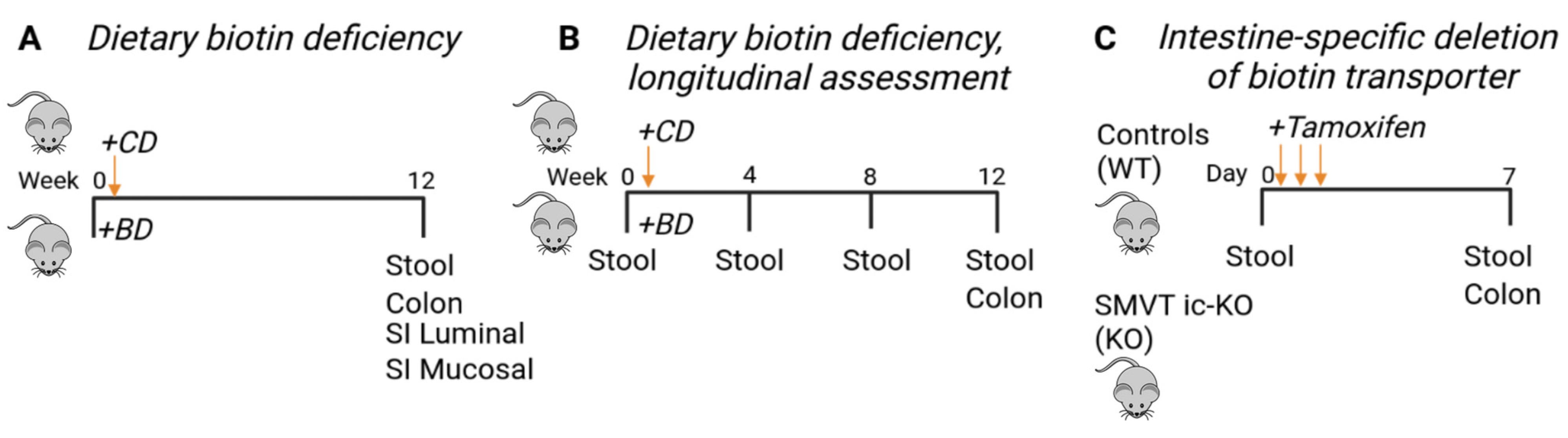 Nutrients 15 00264 g001