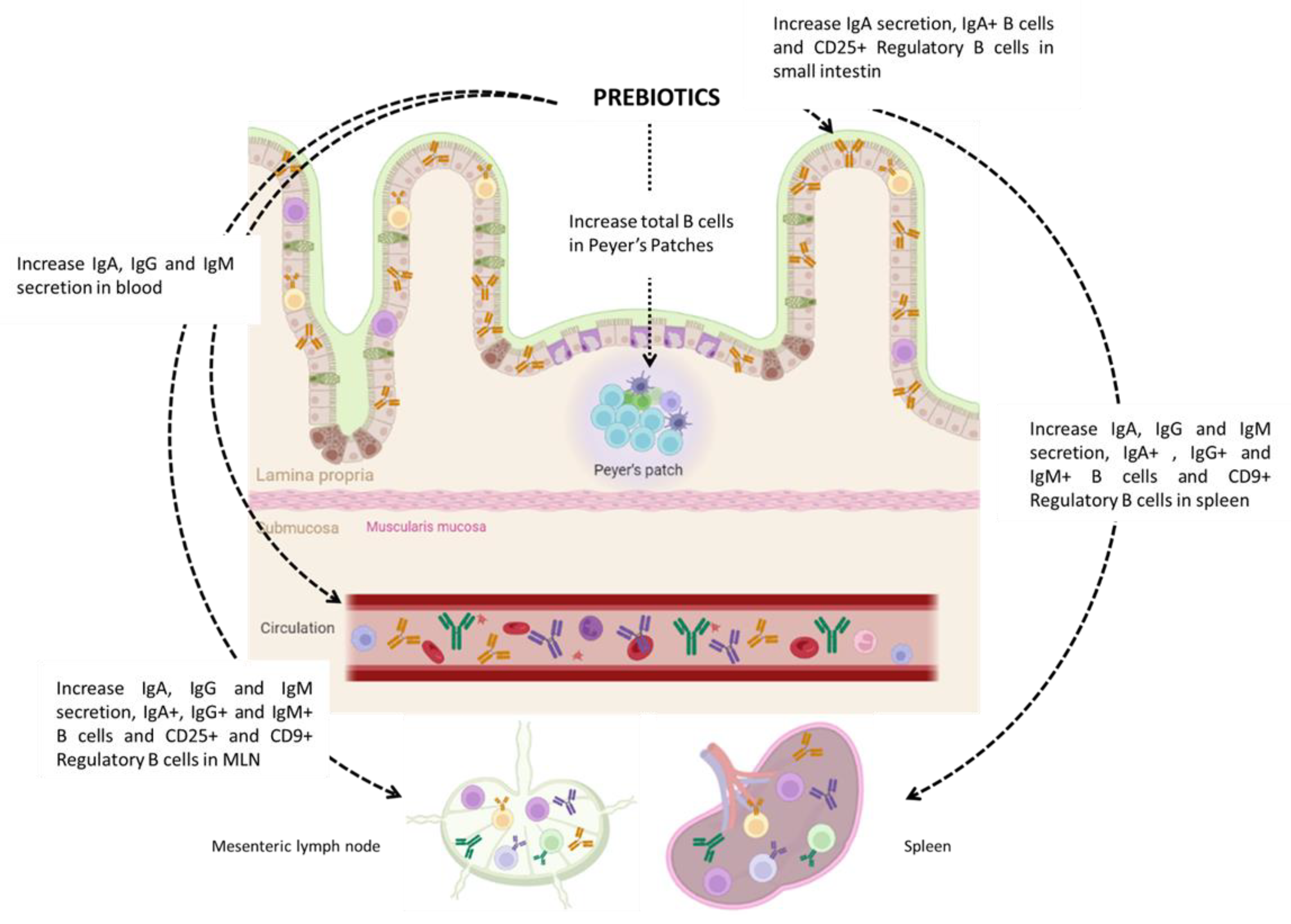 Nutrients 15 00269 g001a