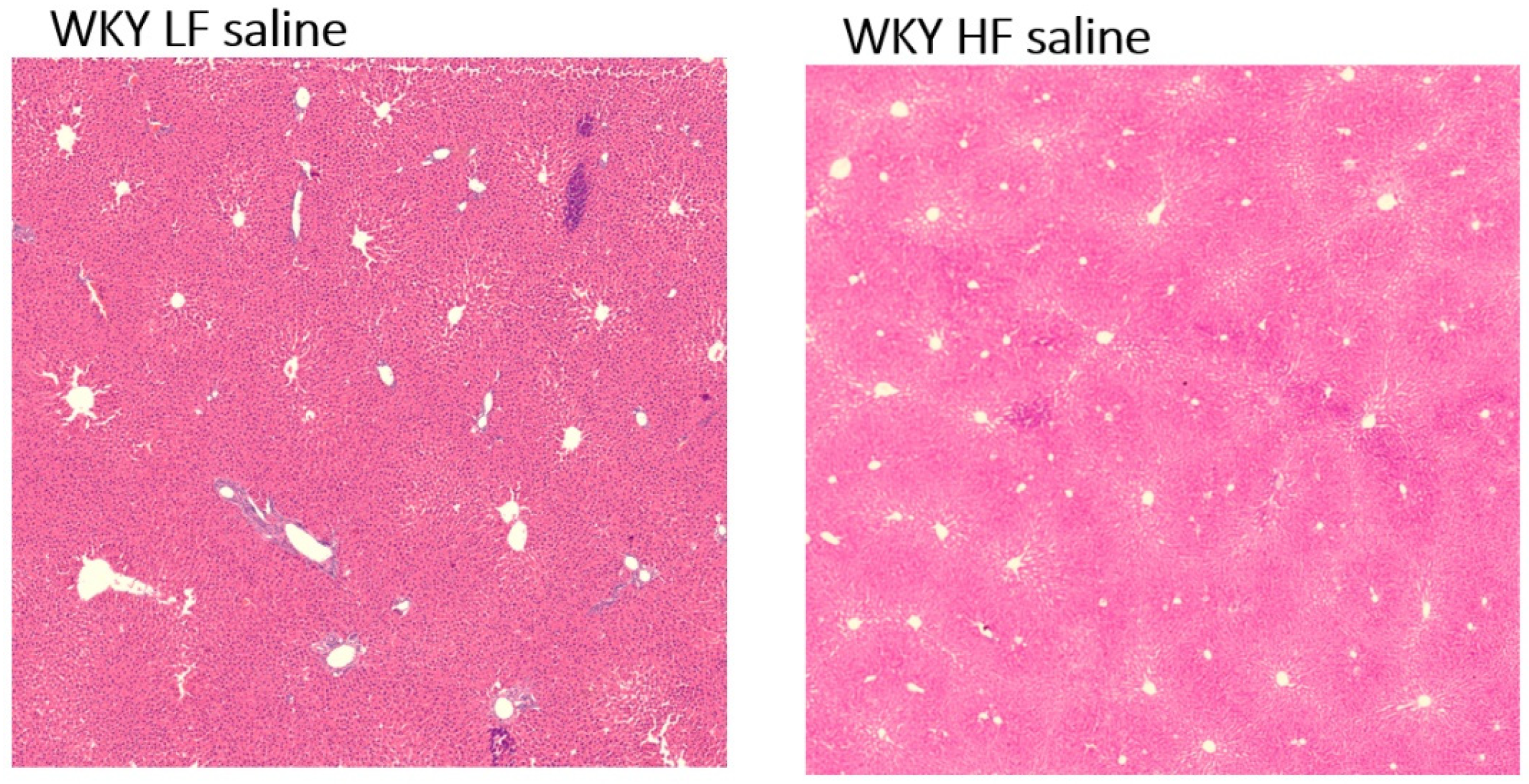 Nutrients 15 00280 g007