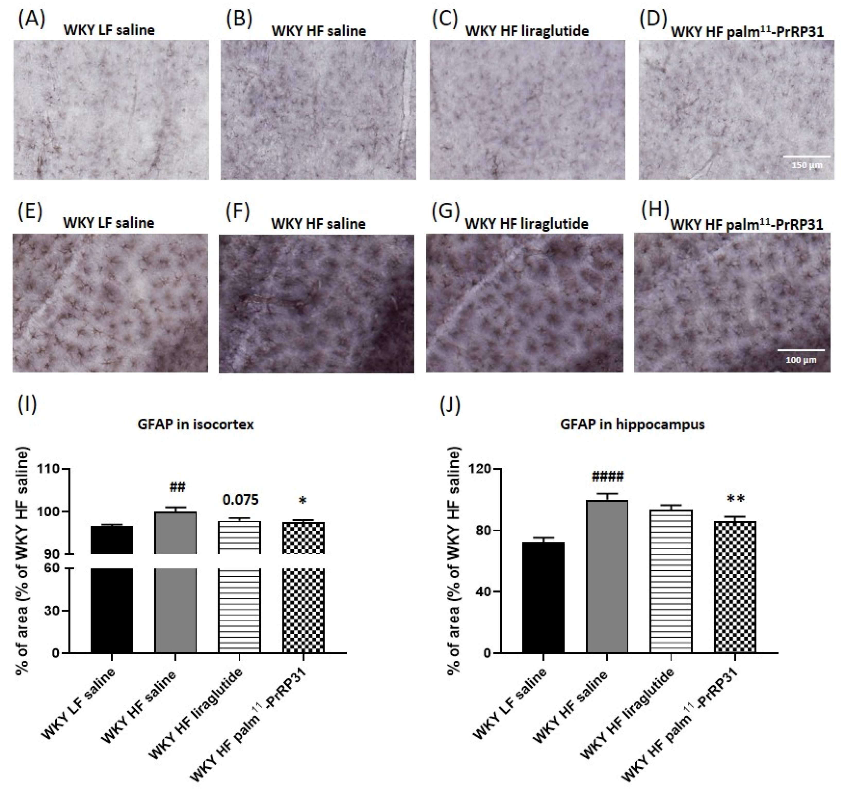 Nutrients 15 00280 g011