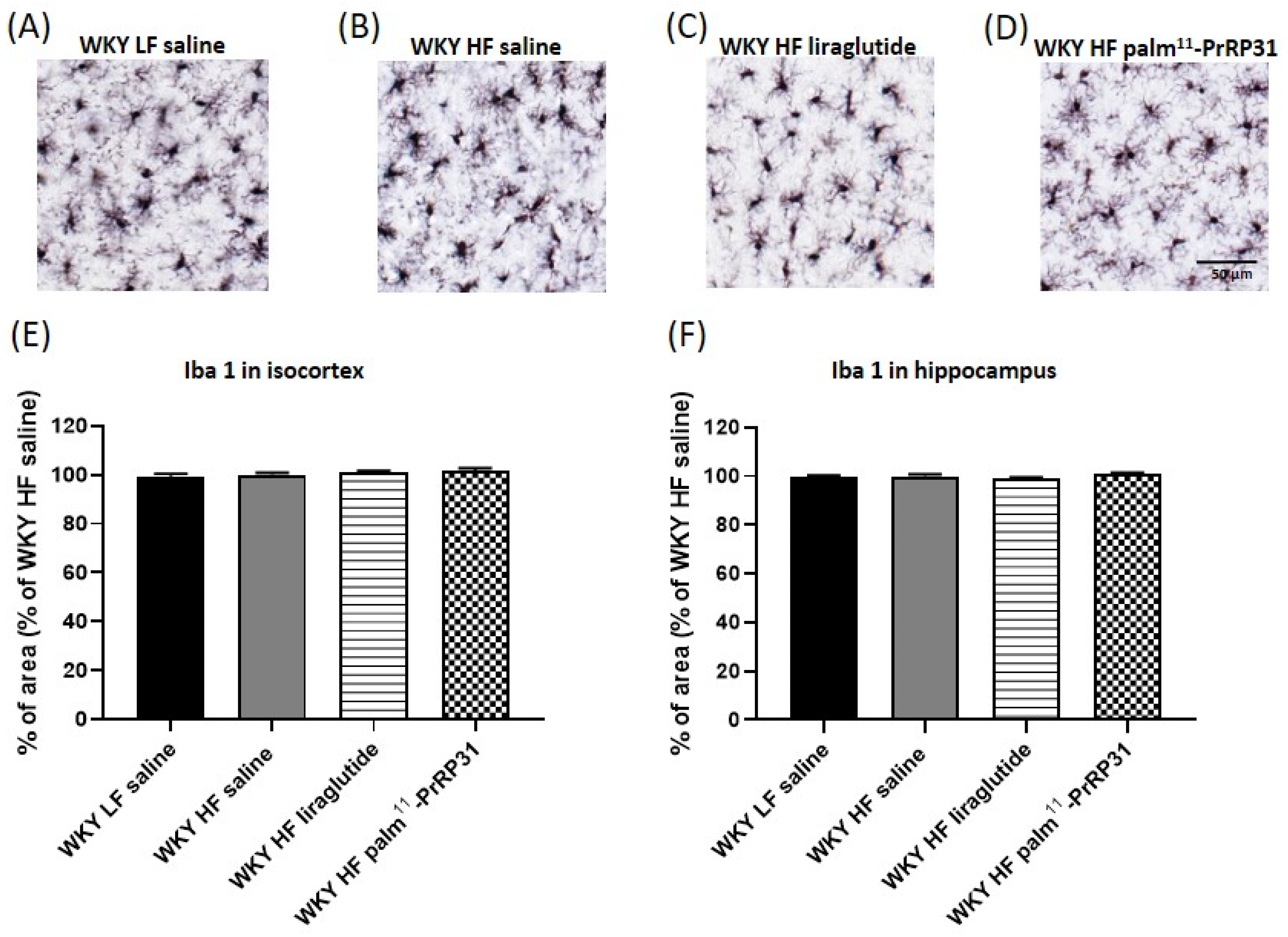 Nutrients 15 00280 g012